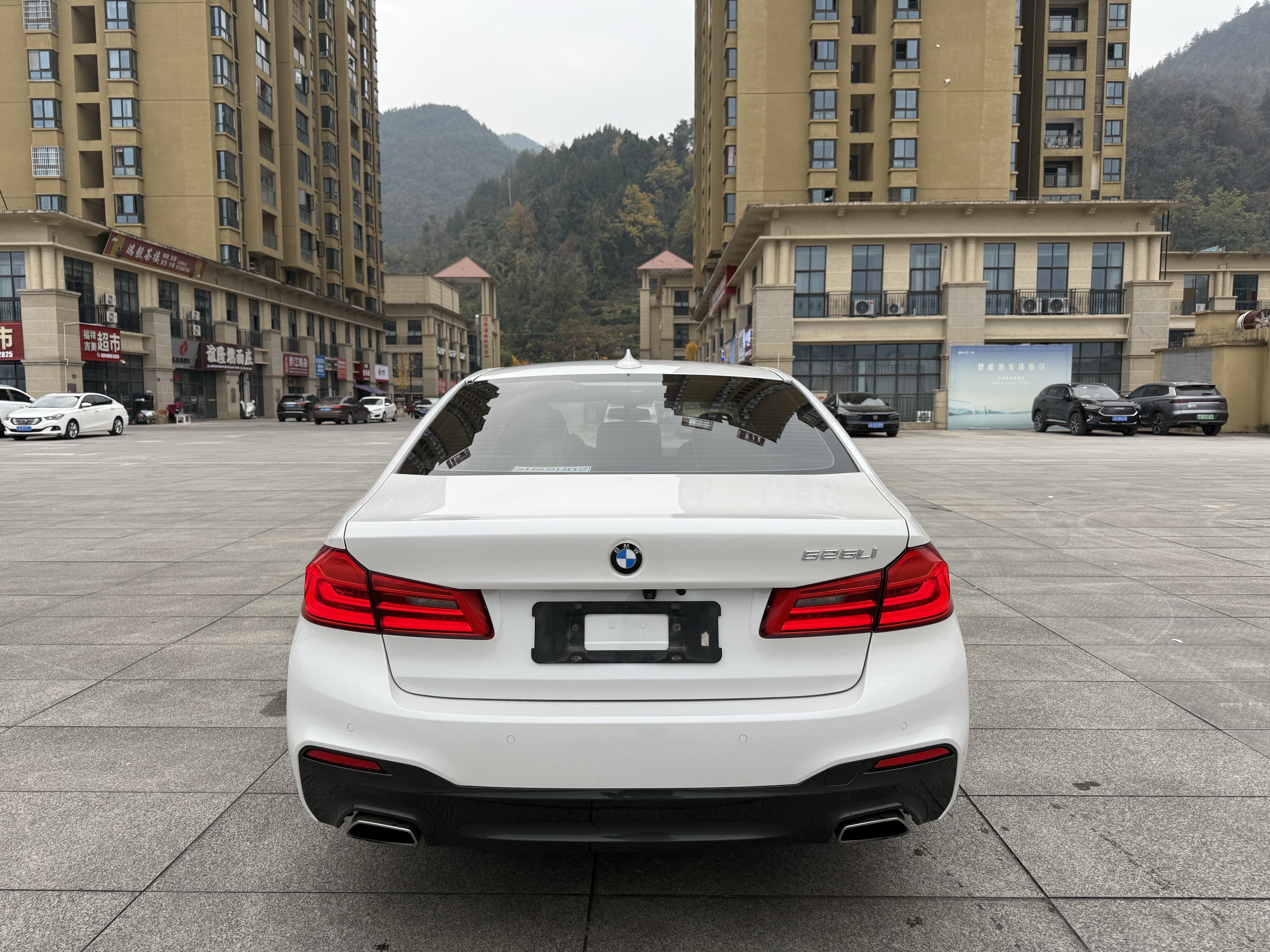 BMW 5 Series 2019 car image #6