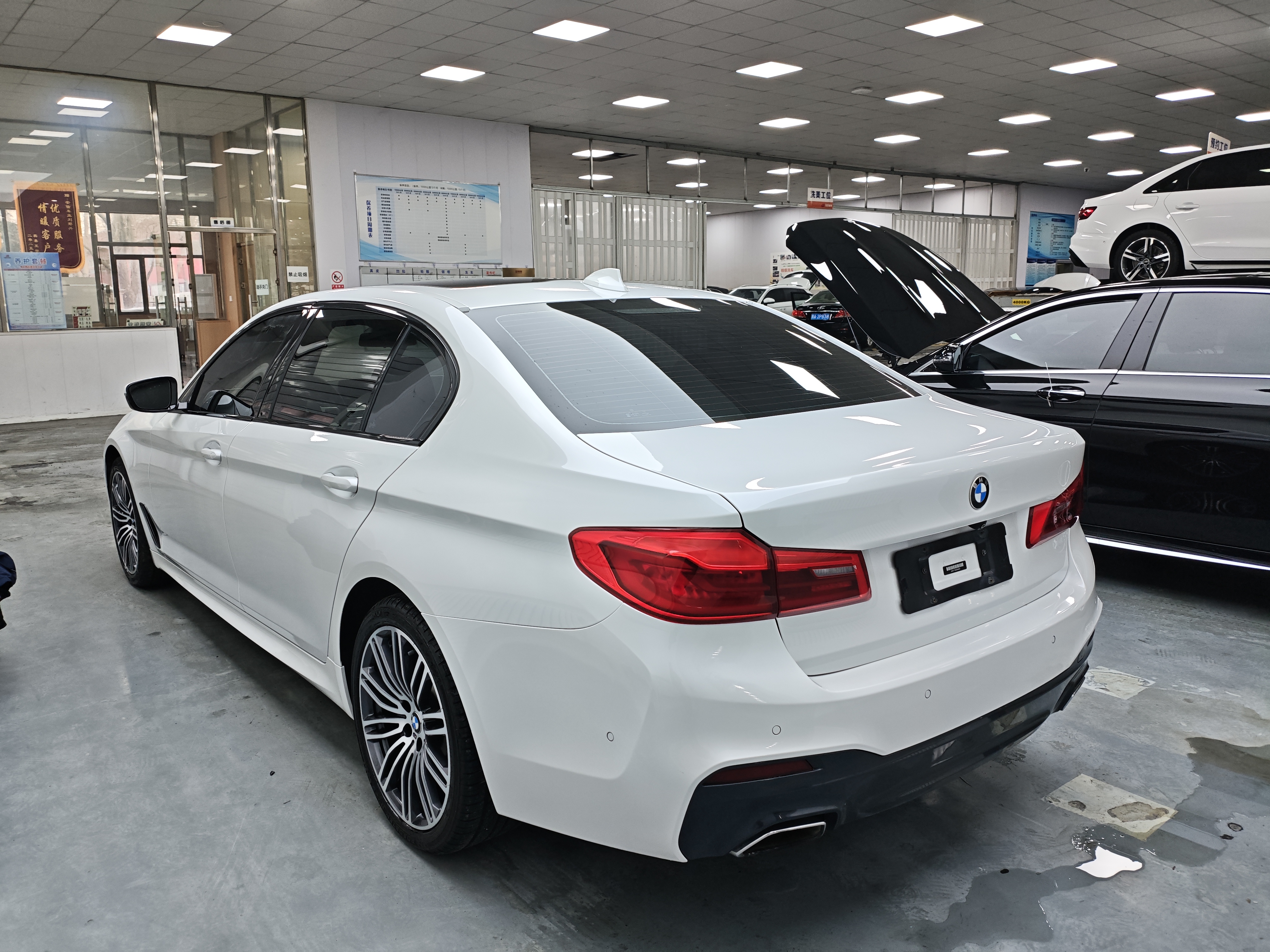 BMW 5 Series 2019 car image #6