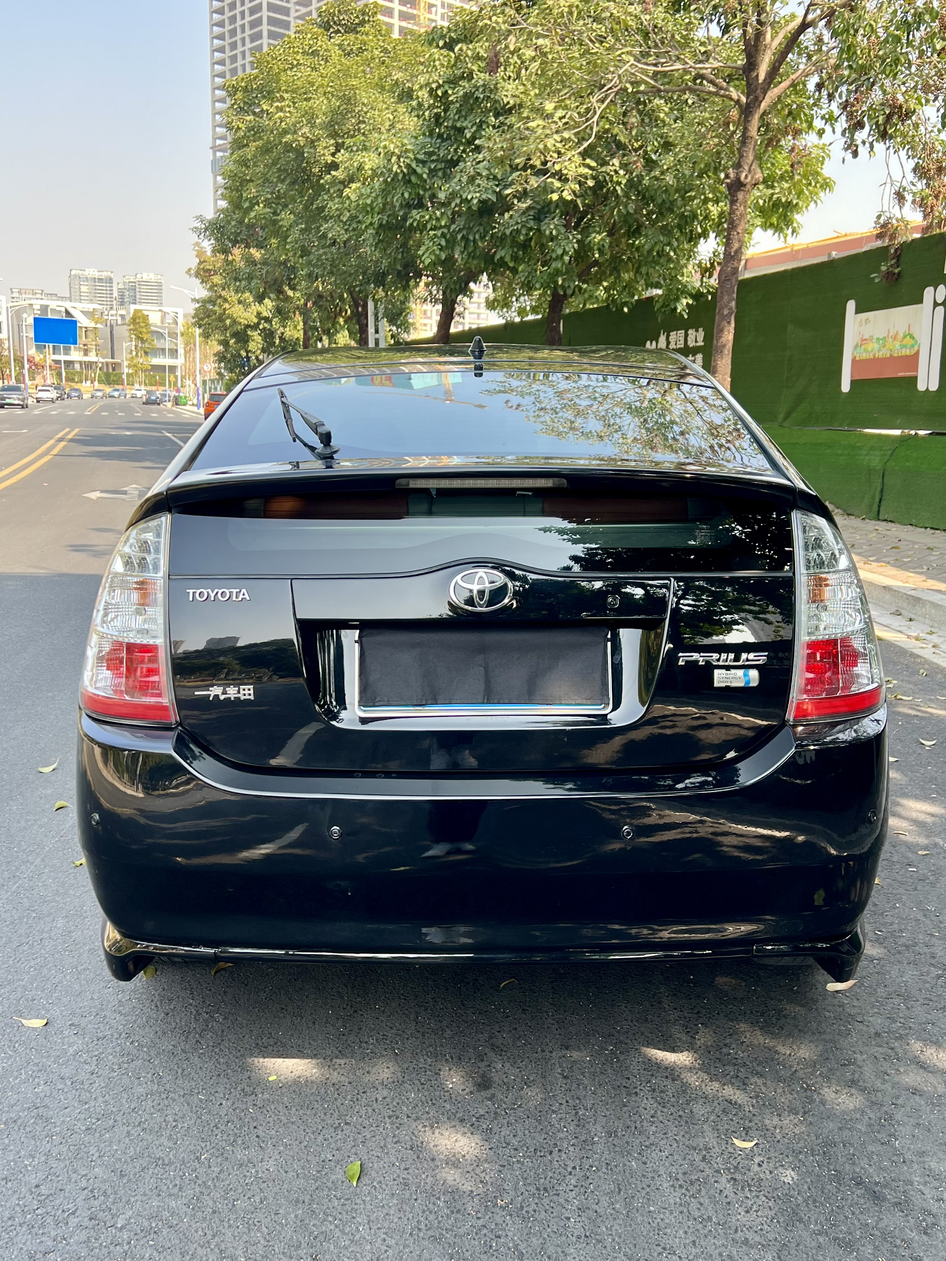 Toyota Prius 2008 car image #6