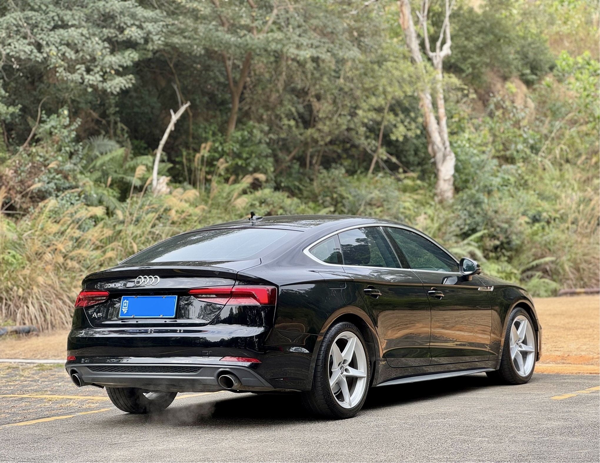 Audi A5 (Imported) 2019 car image #6