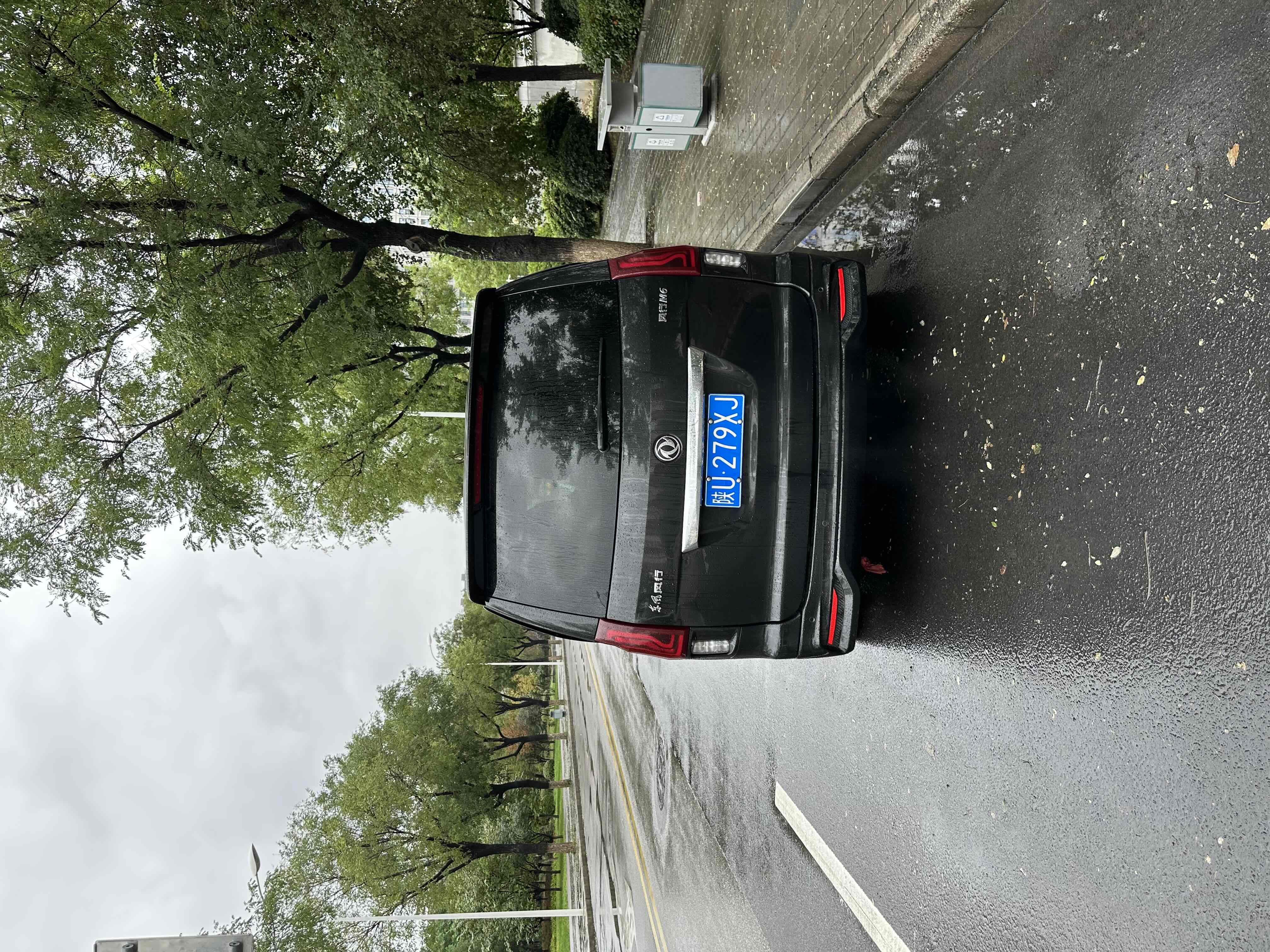 Forthing M6 2020 imagen de coche #6