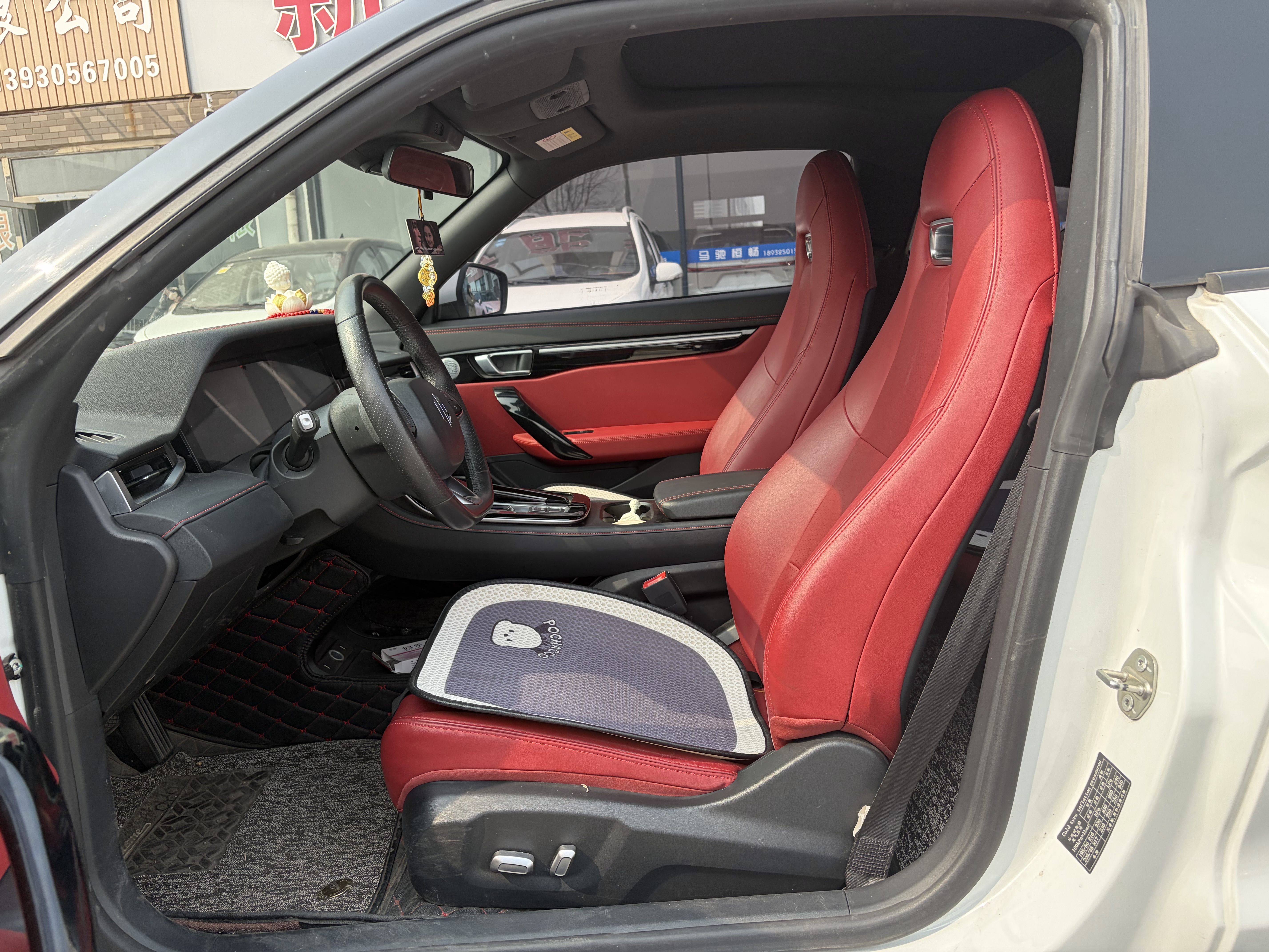 零跑汽车 零跑S01 2020 汽车图片 #6