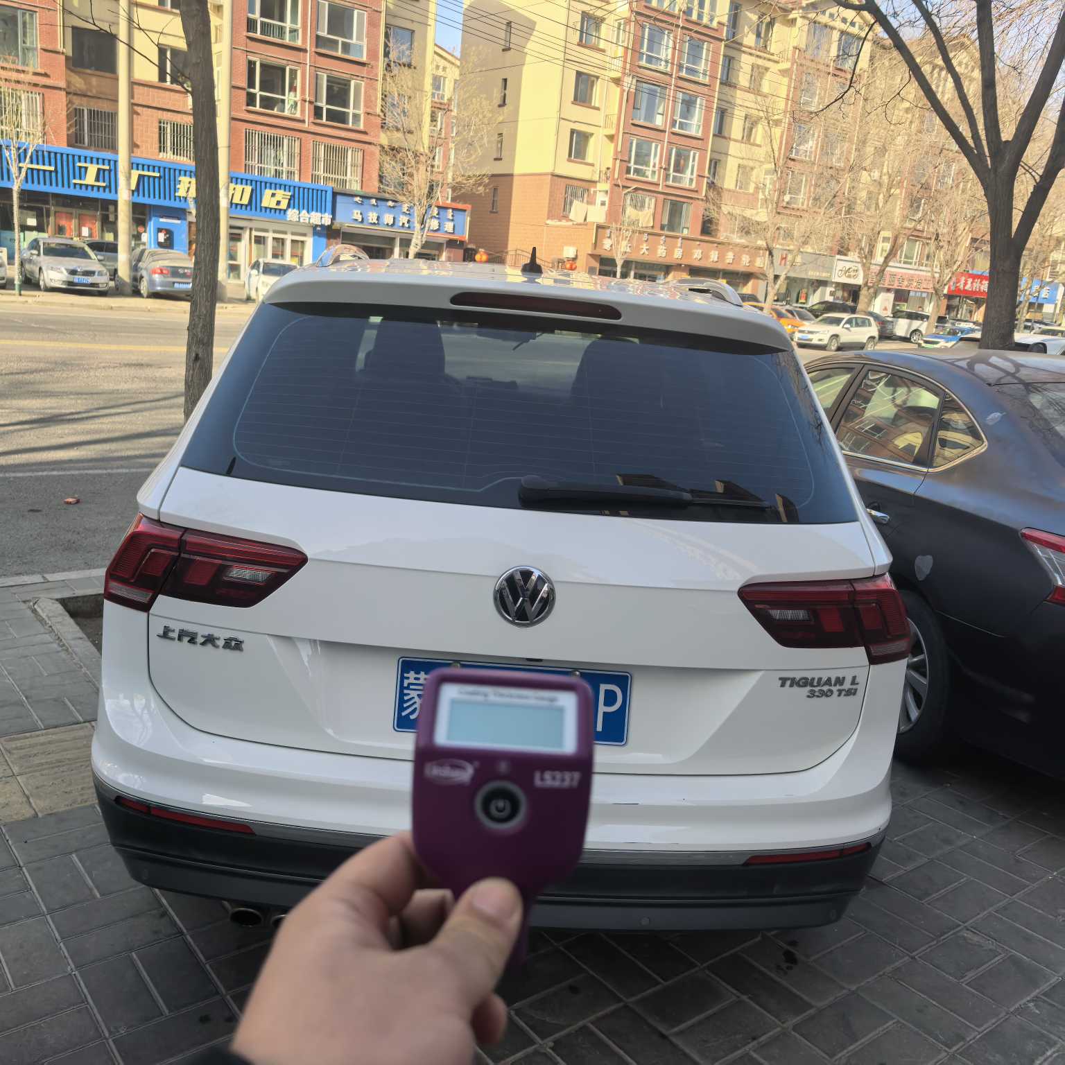 Volkswagen Tiguan L 2020 car image #6