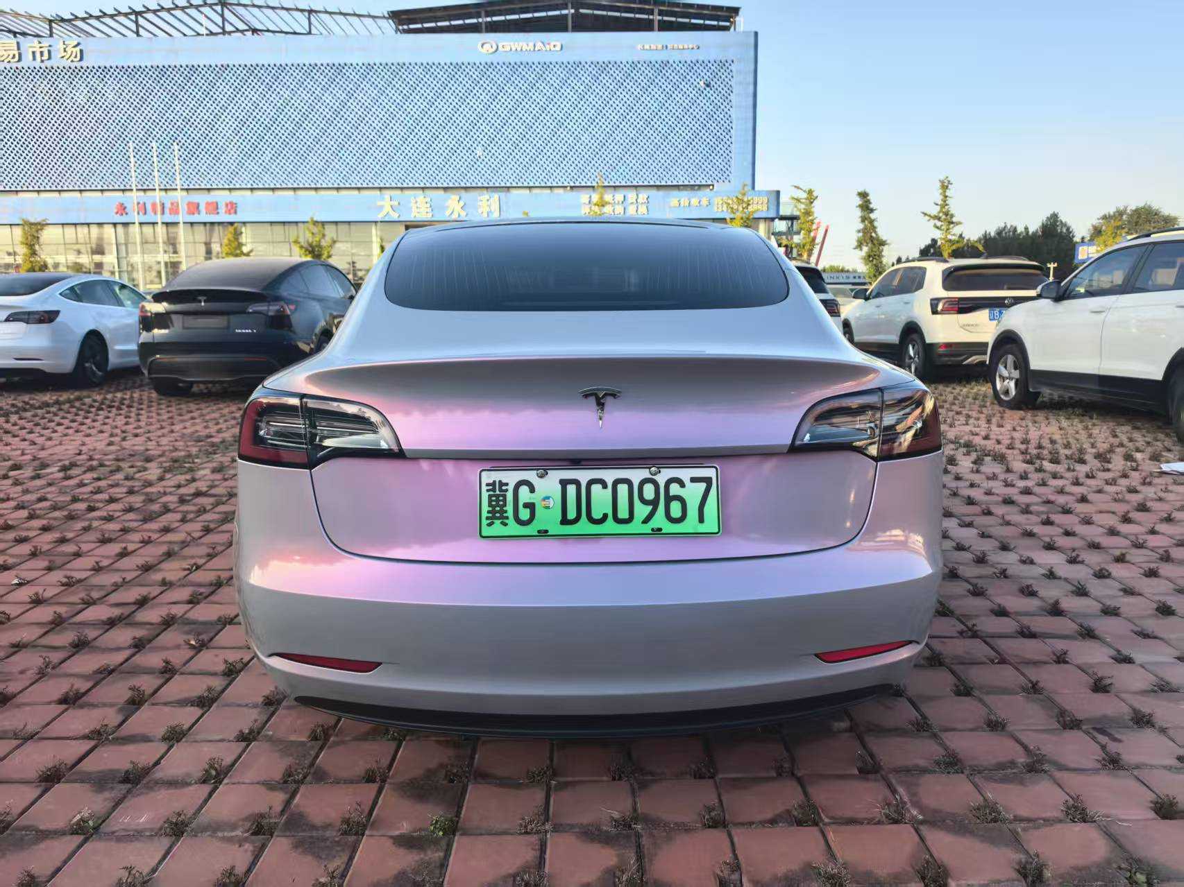 特斯拉 Model 3(进口) 2019 汽车图片 #6