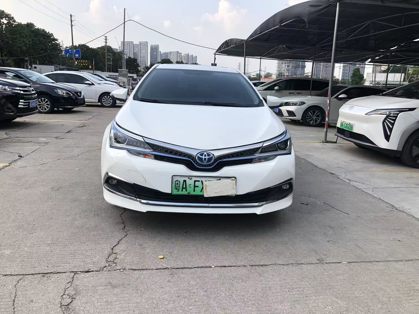 Toyota Corolla Hybird E+ 2019 #6 Toyota Corolla Hybird E+ 2019 immagine di auto #6