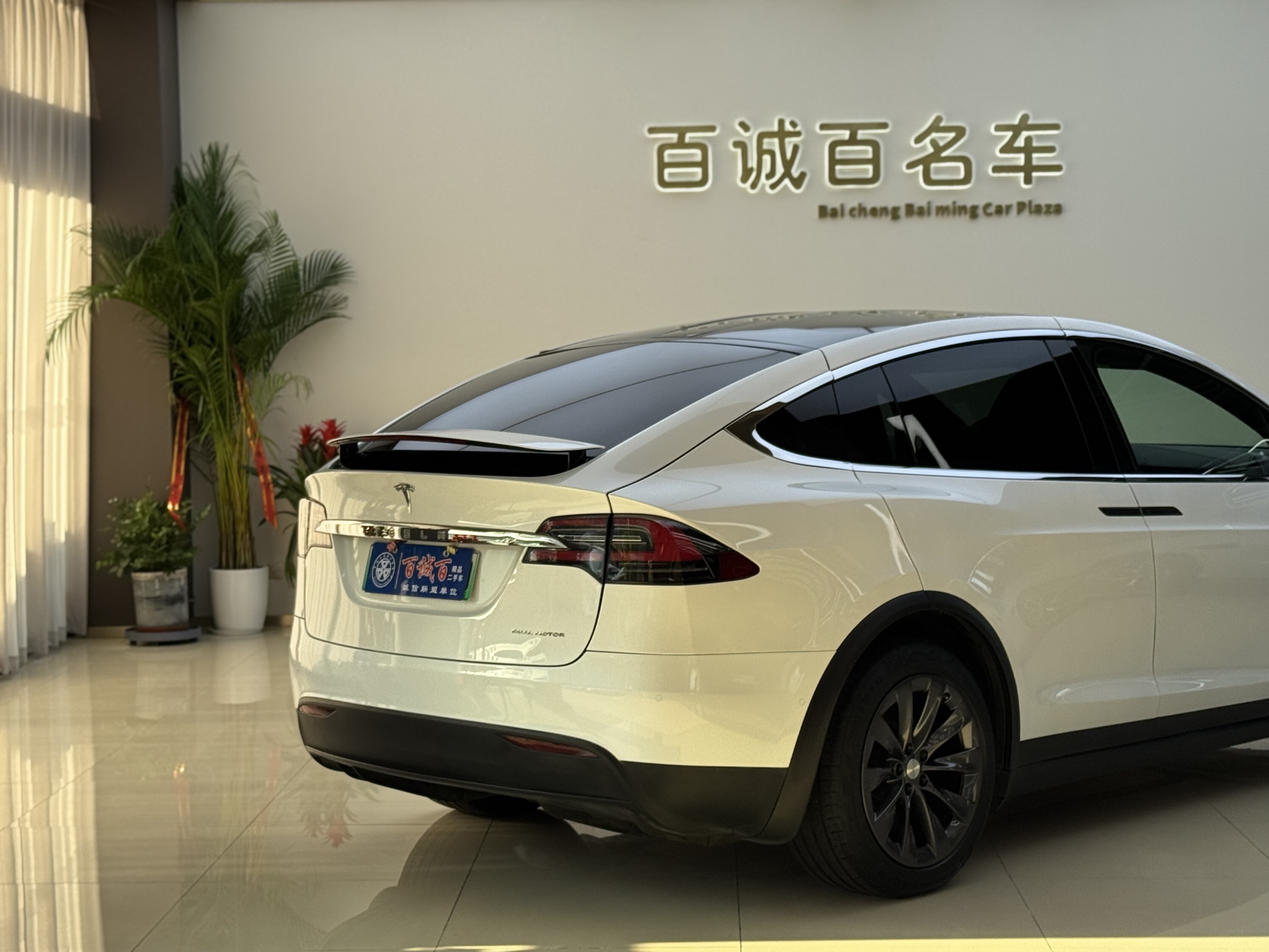 Tesla Model X 2020 #6 Tesla Model X 2020 car image #6