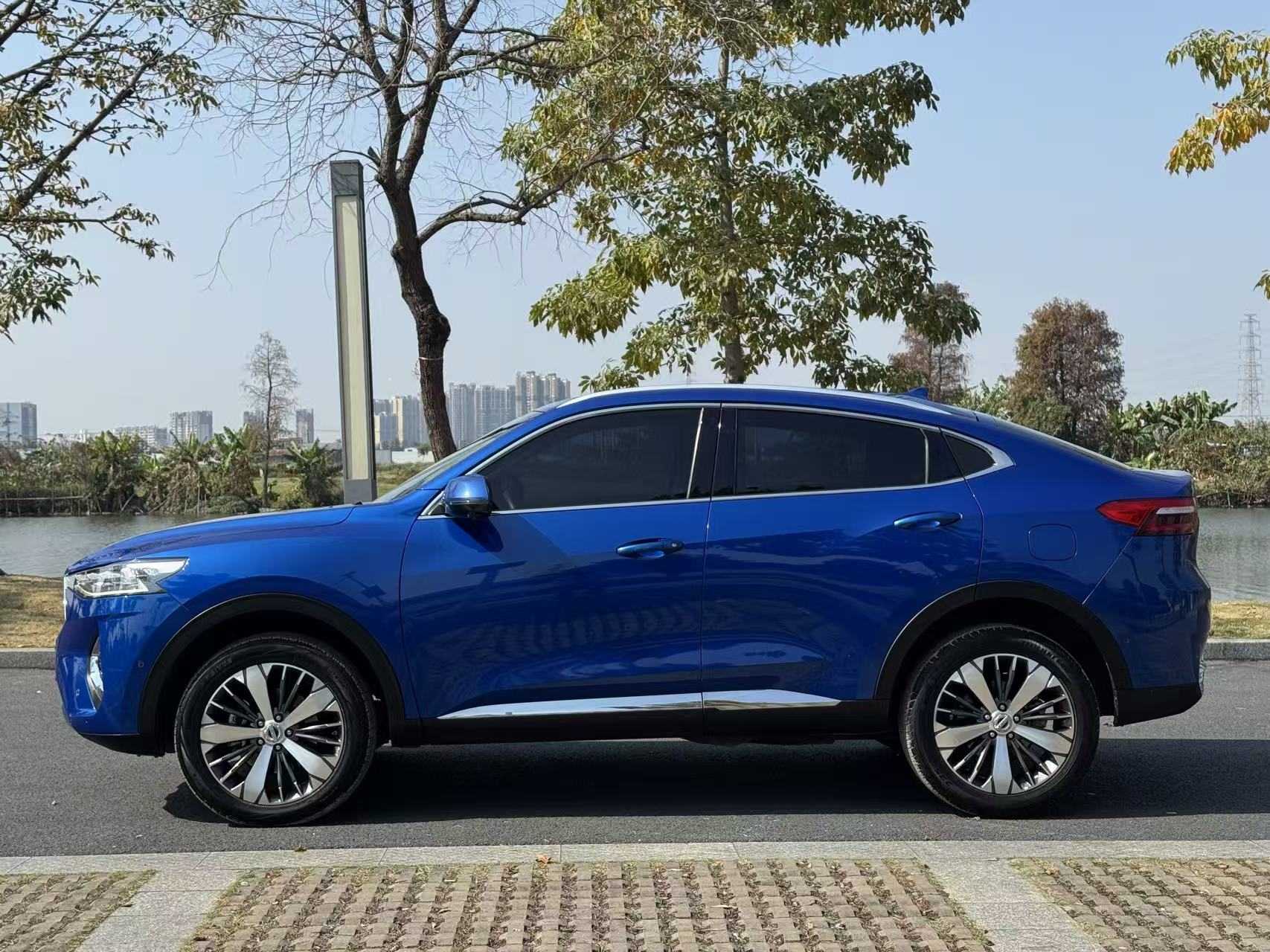 Haval F7x 2020 car image #6