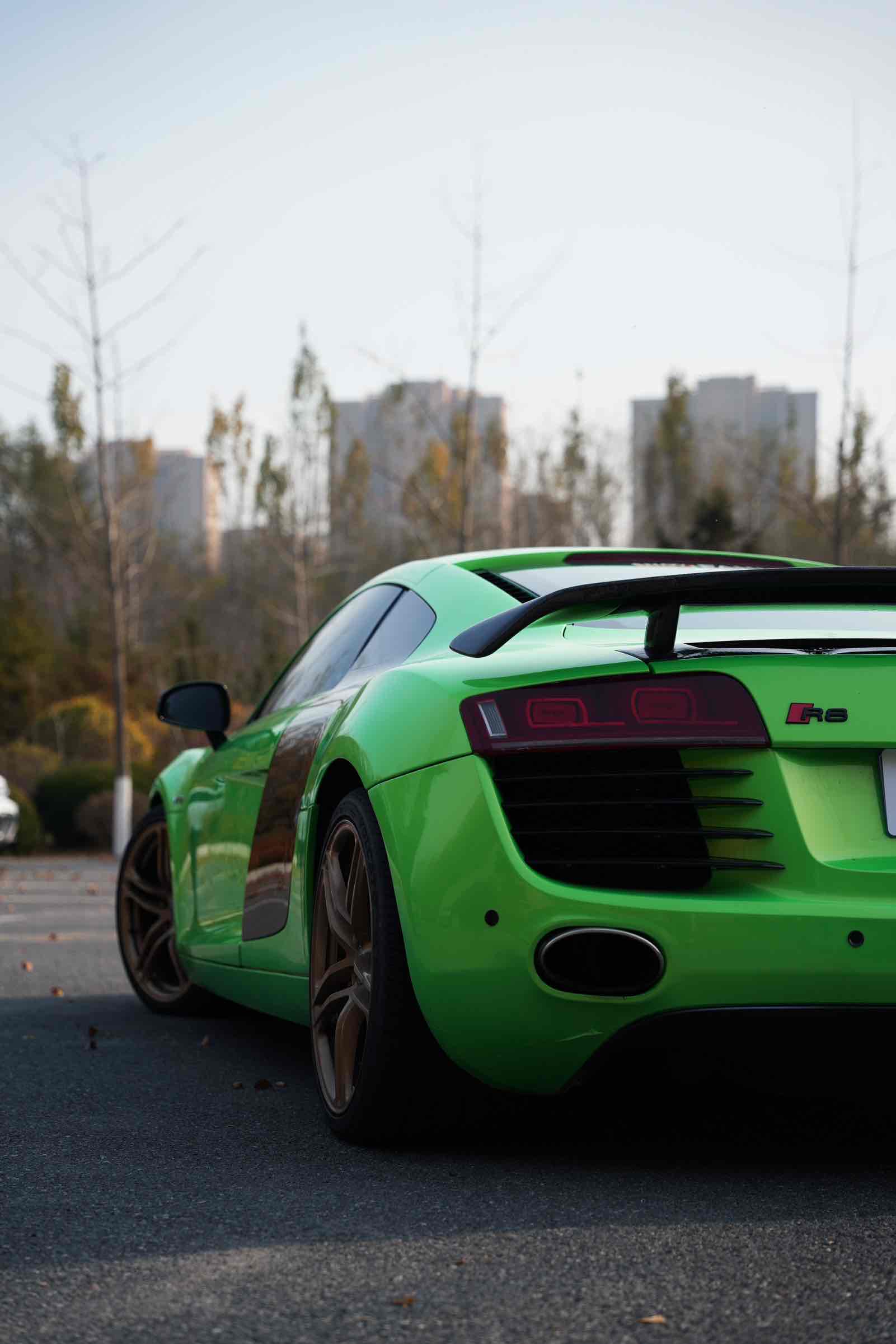 Audi R8 2008 immagine di auto #6