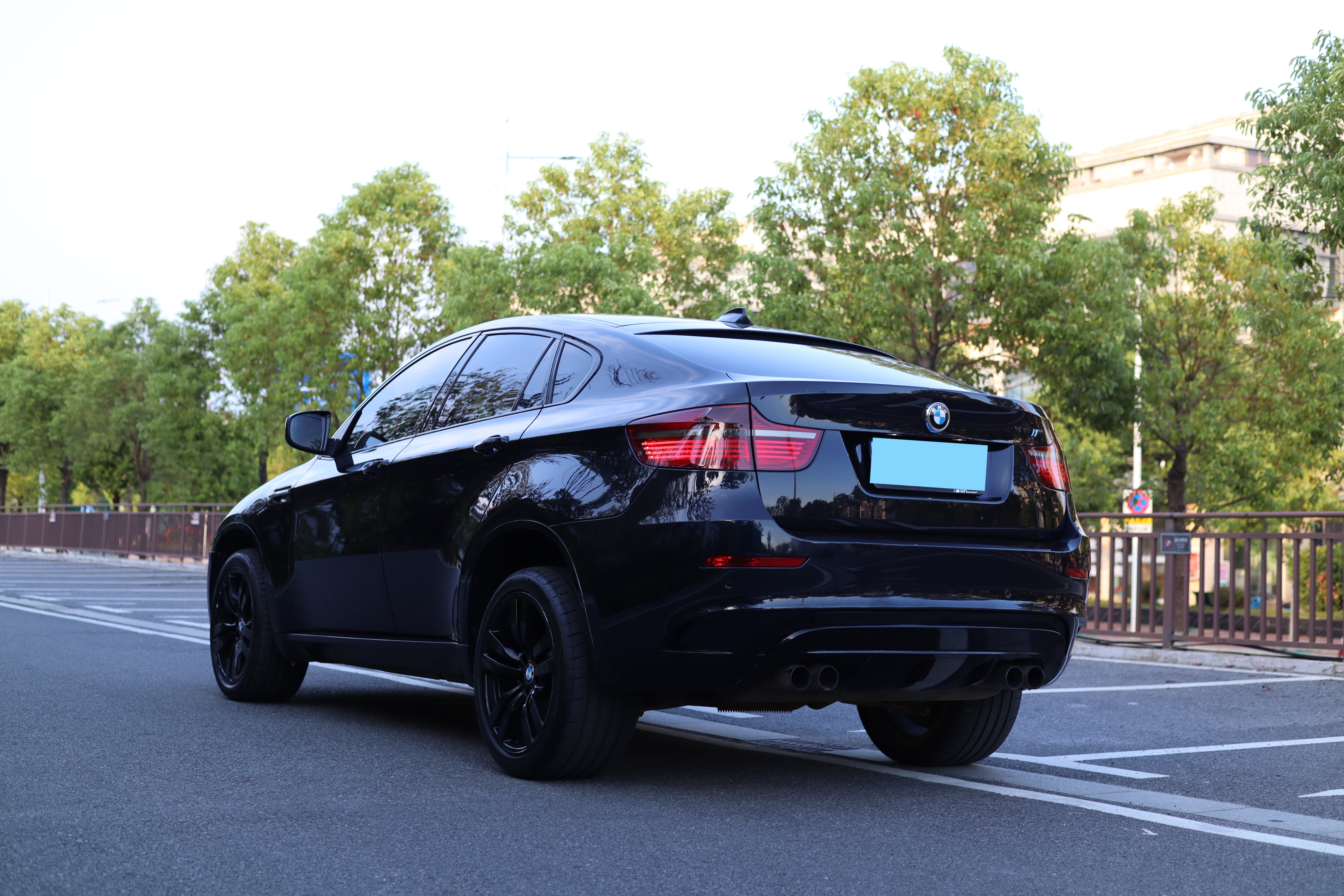 BMW X6 2012 car image #6