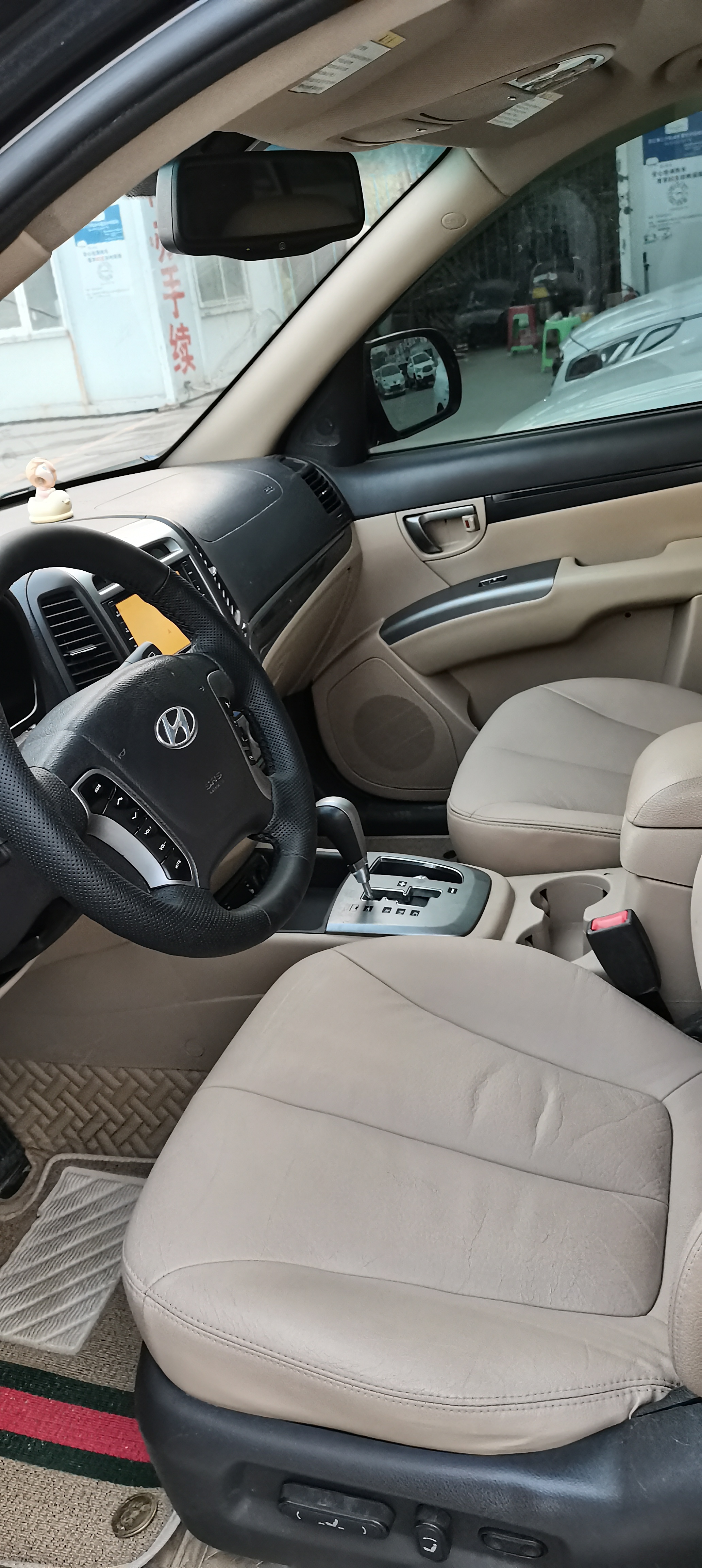 Hyundai Santa Fe Classic 2010 car image #6