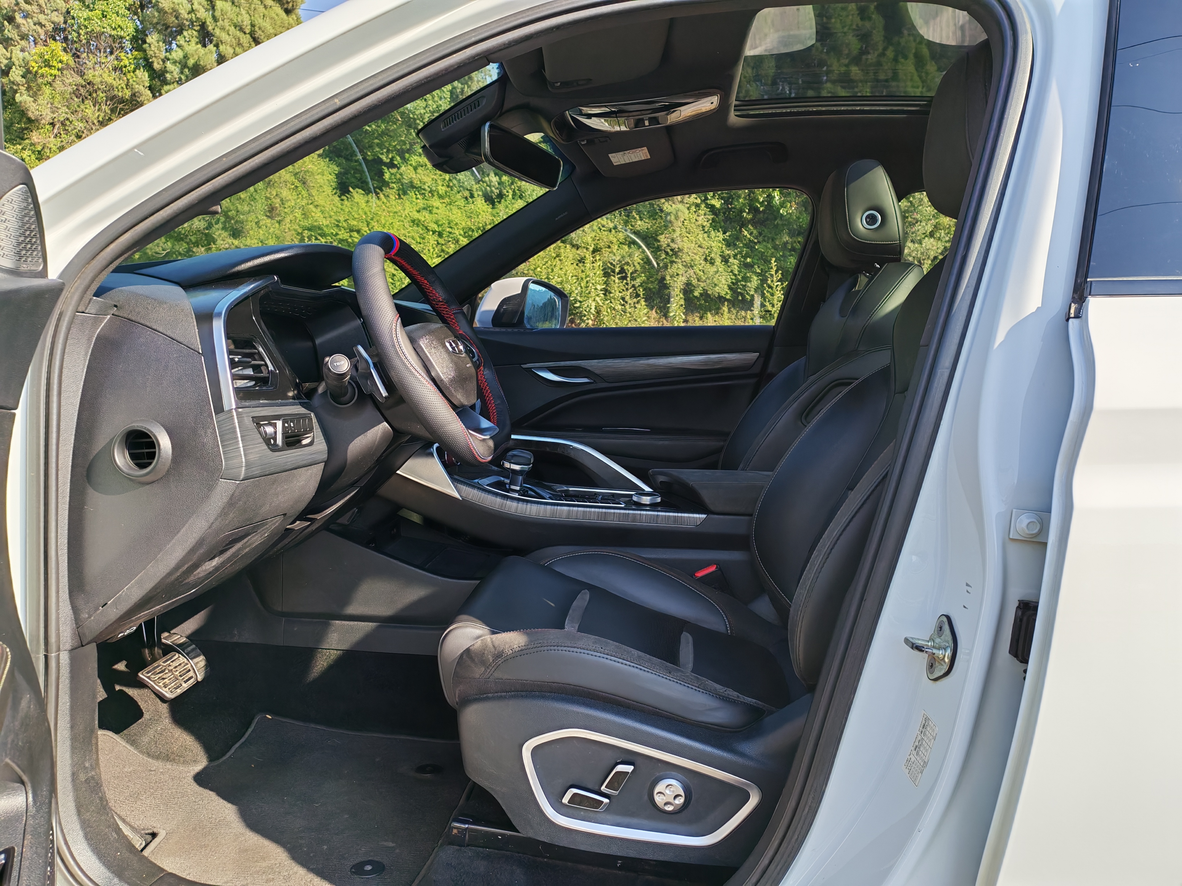 GEELY Tugella 2020 car image #6