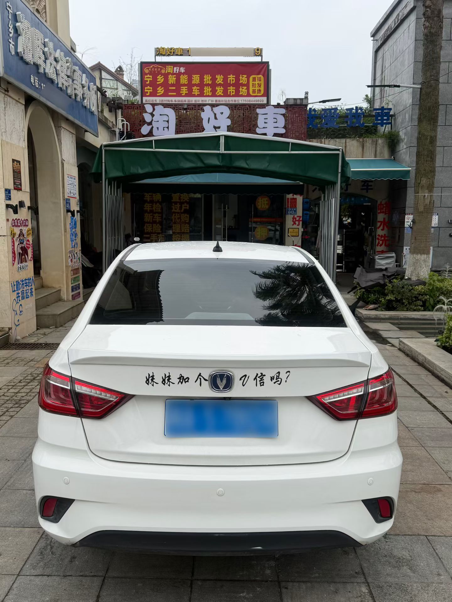 Changan Eado DT 2019 car image #6