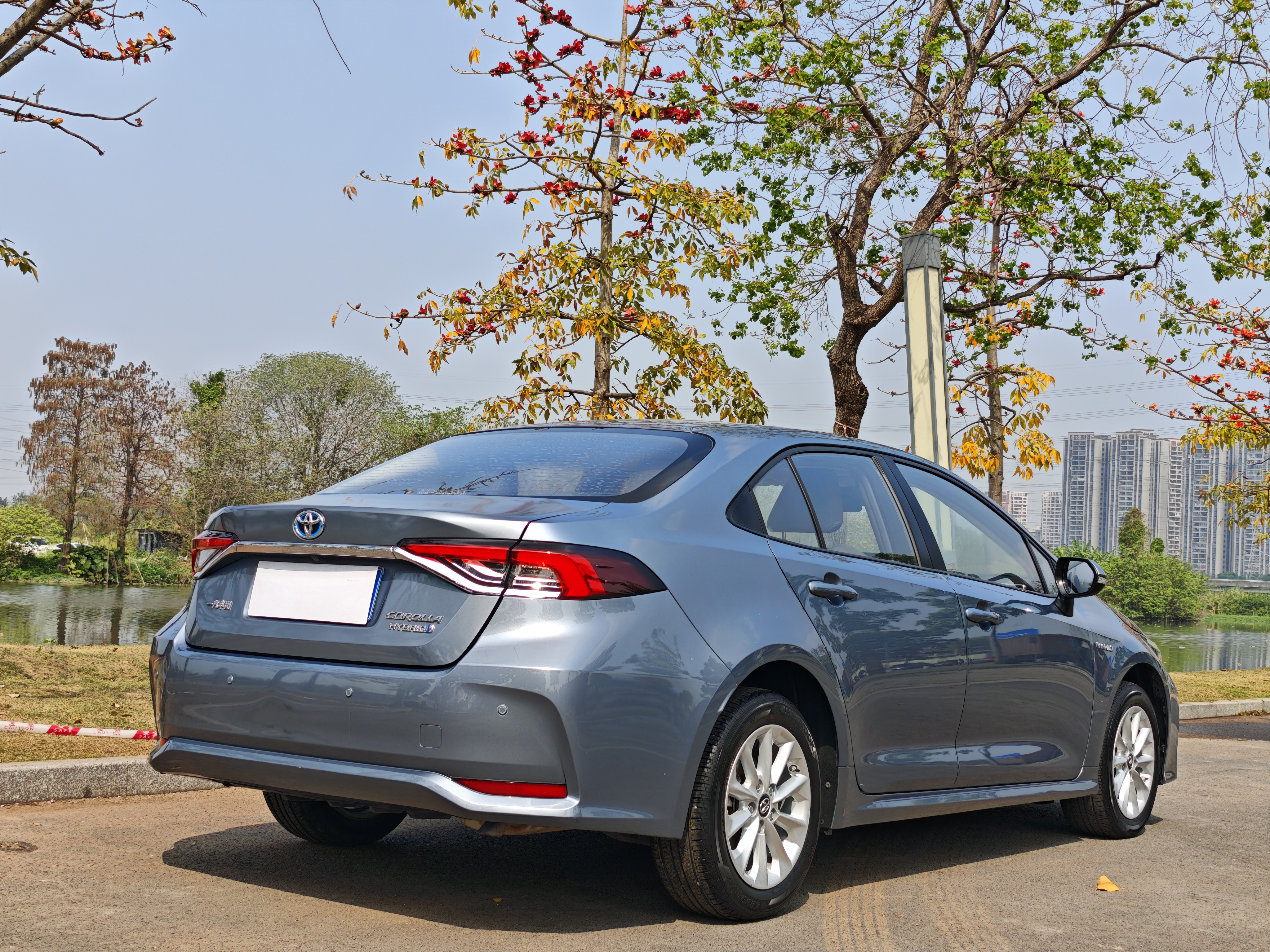 Toyota Corolla 2020 car image #6