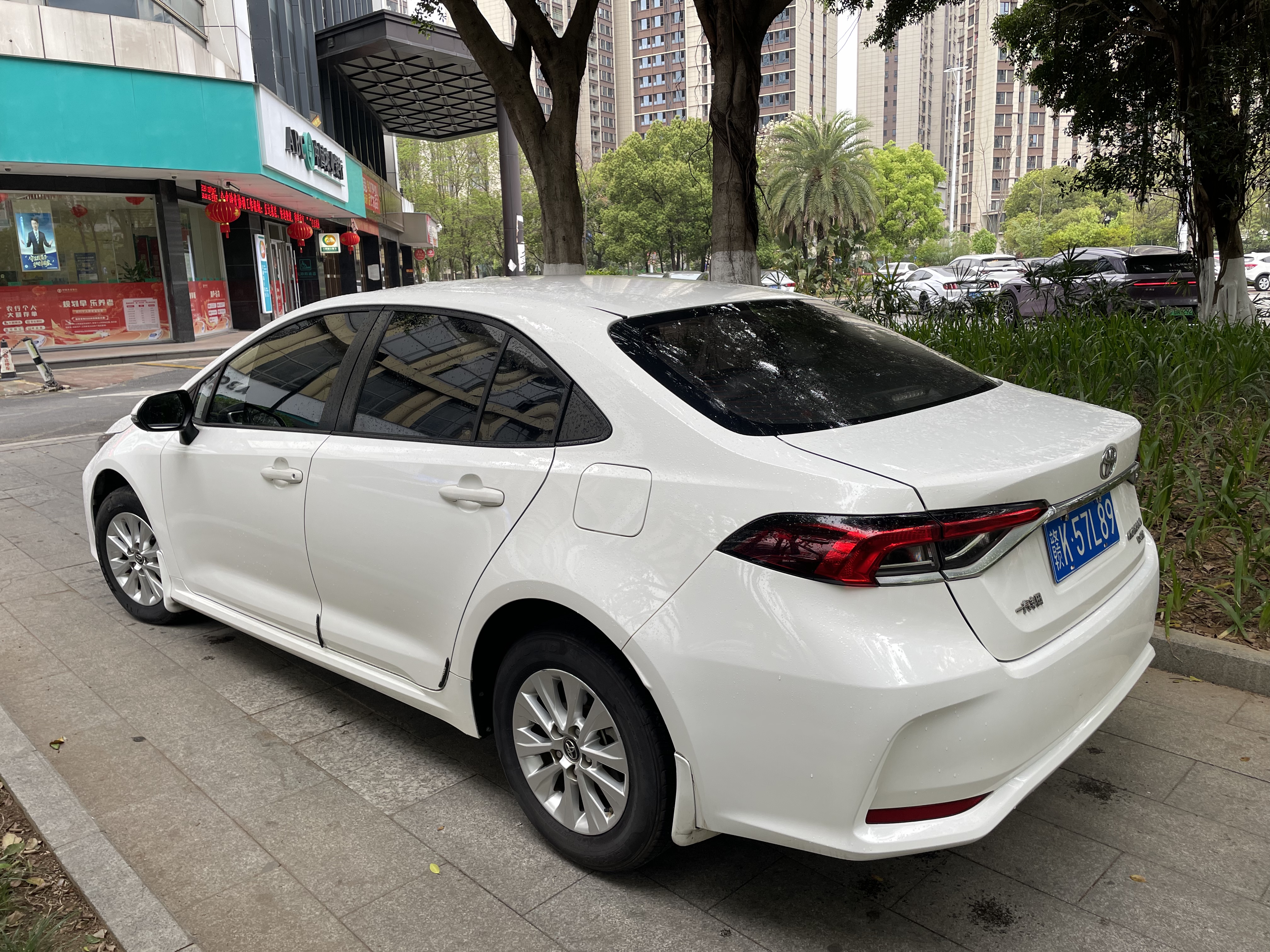 Corolla 2021 car image #6