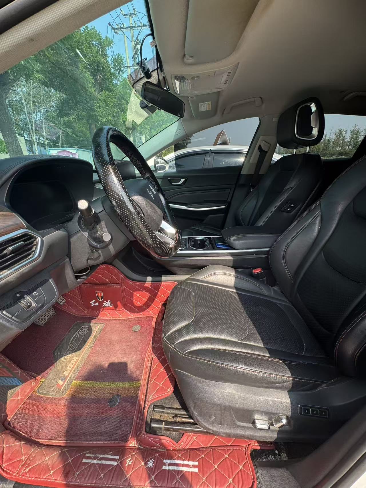 HongQi E-HS3 2020 car image #6