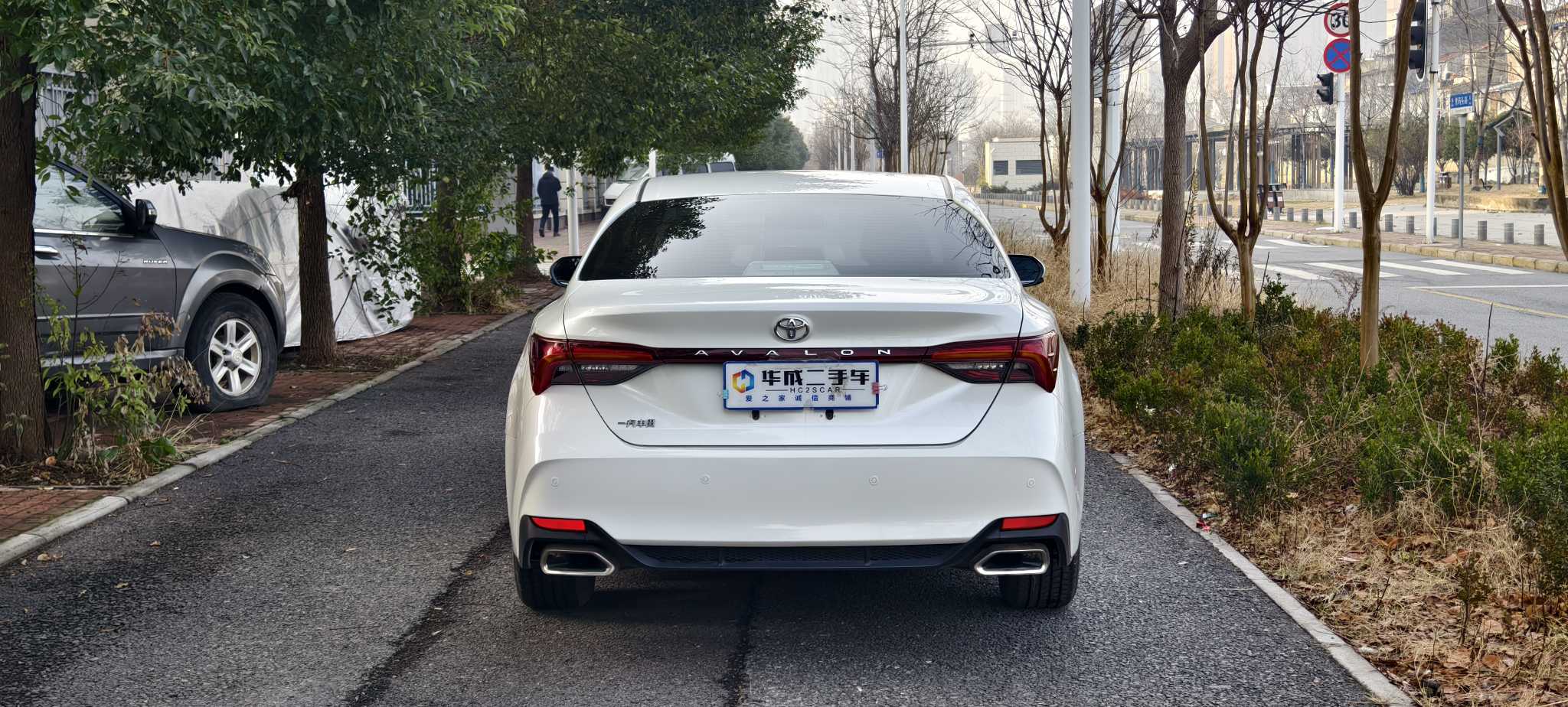 Toyota Avalon 2020 immagine di auto #6
