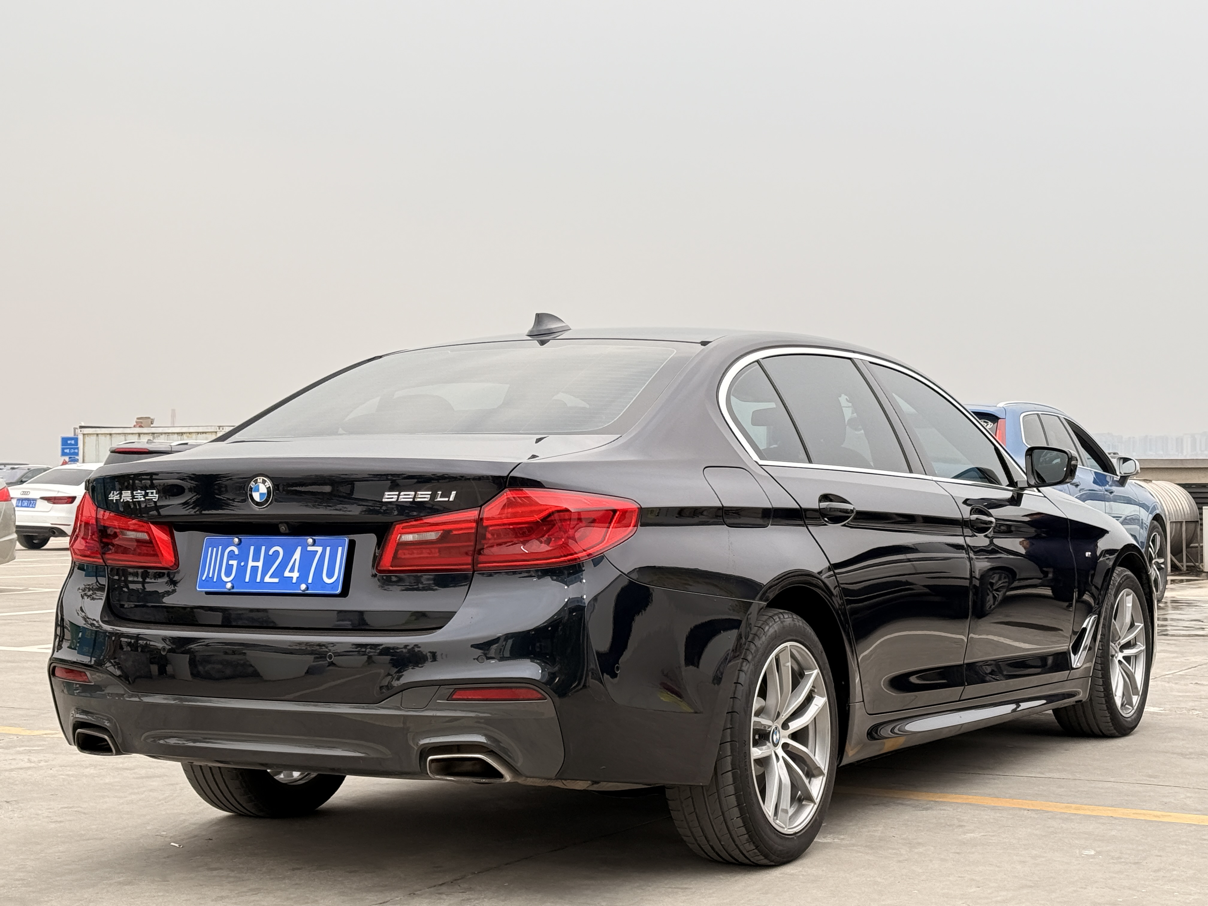 BMW 5 Series 2020 car image #6