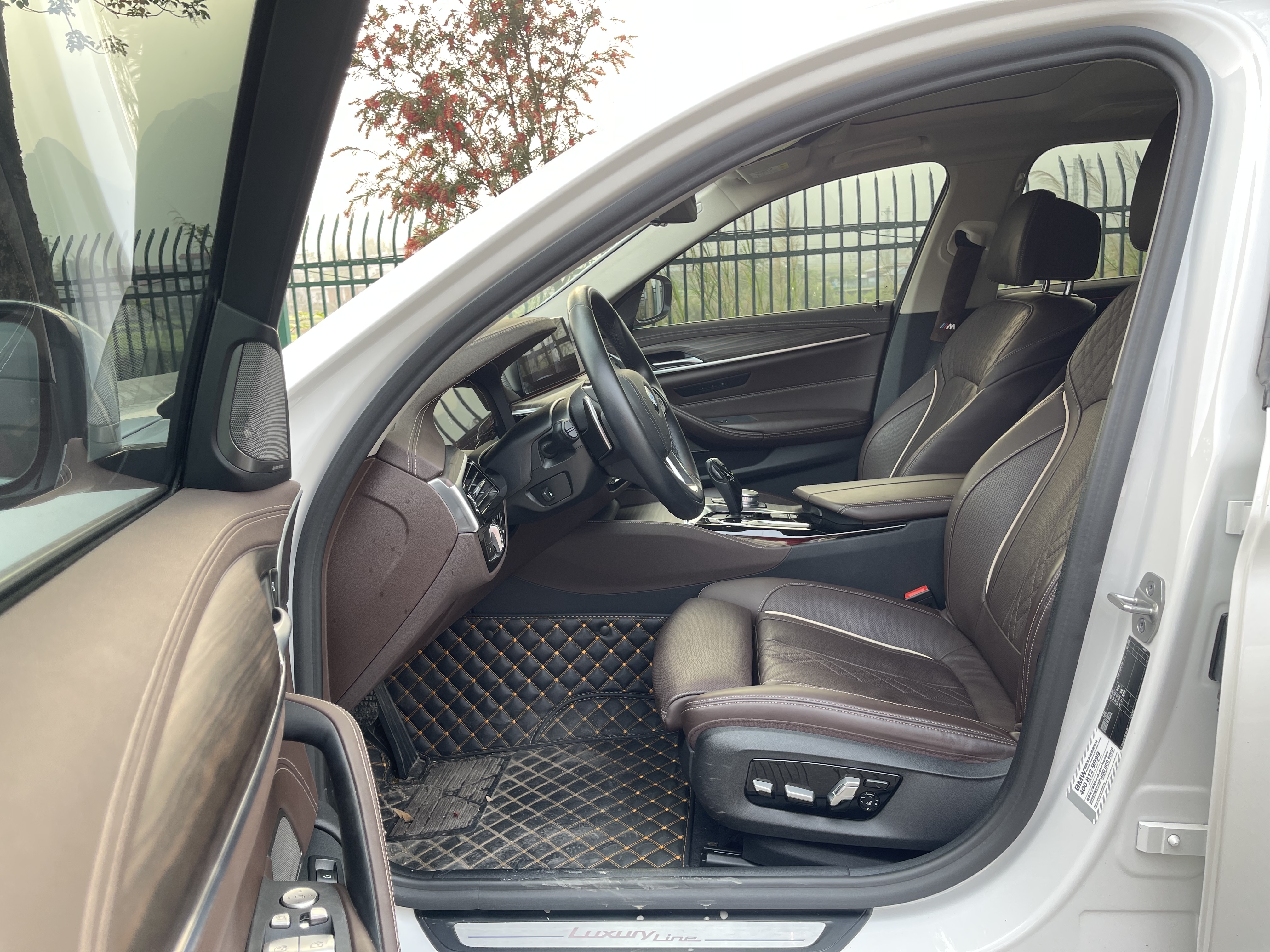 BMW 5 Series 2020 car image #6