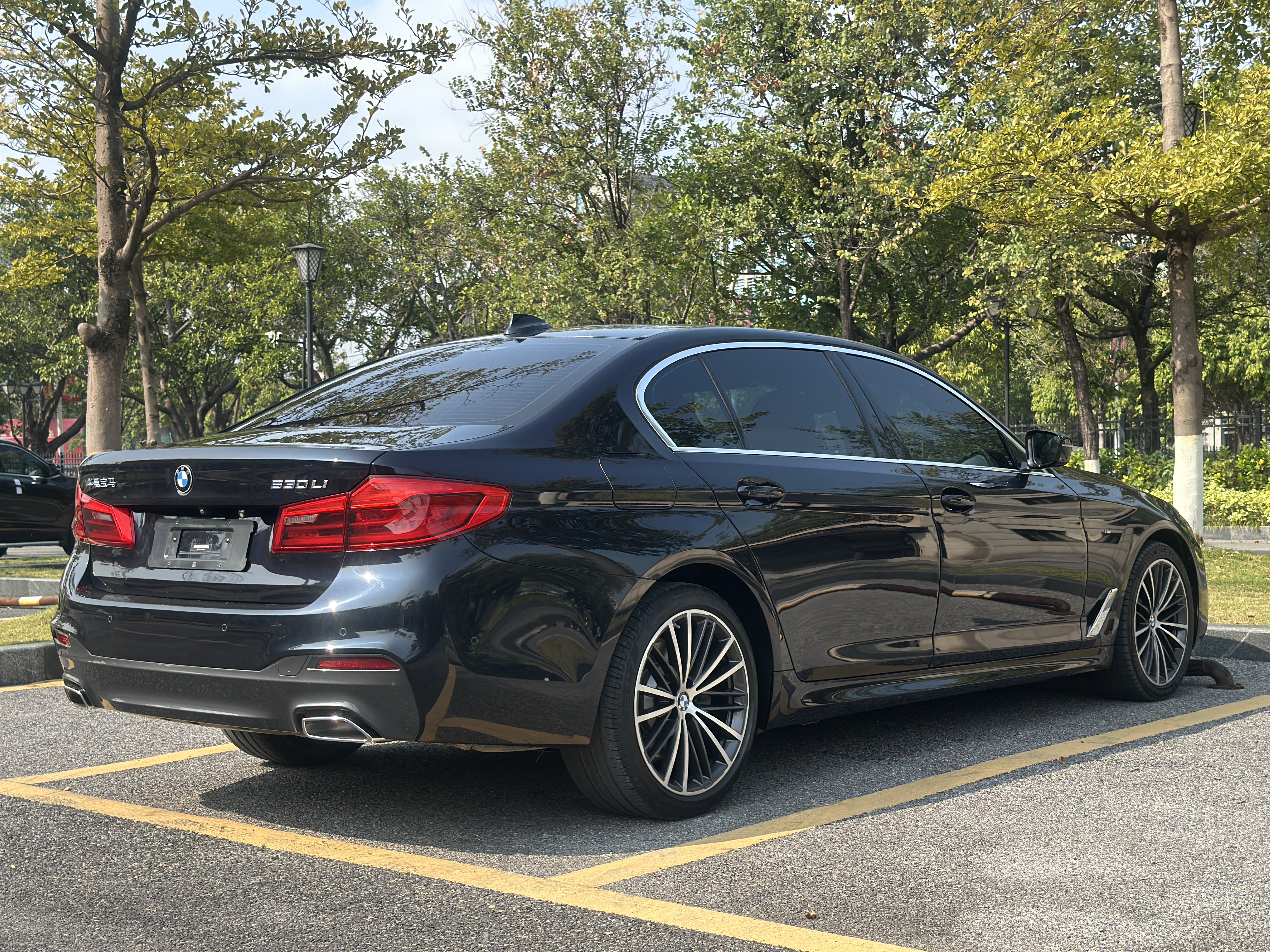 BMW 5 Series 2020 #6 BMW 5 Series 2020 car image #6