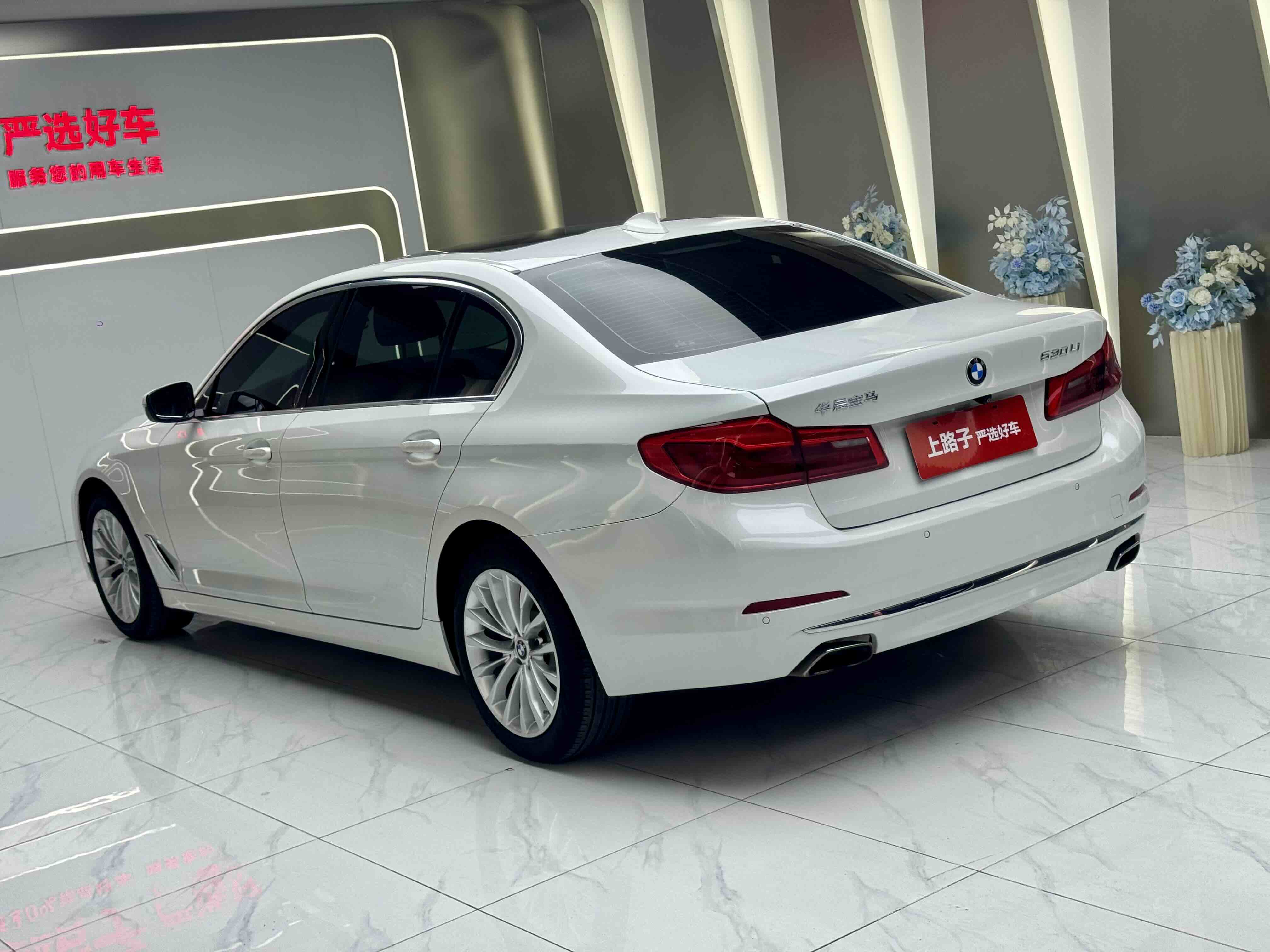 BMW 5 Series 2020 car image #6