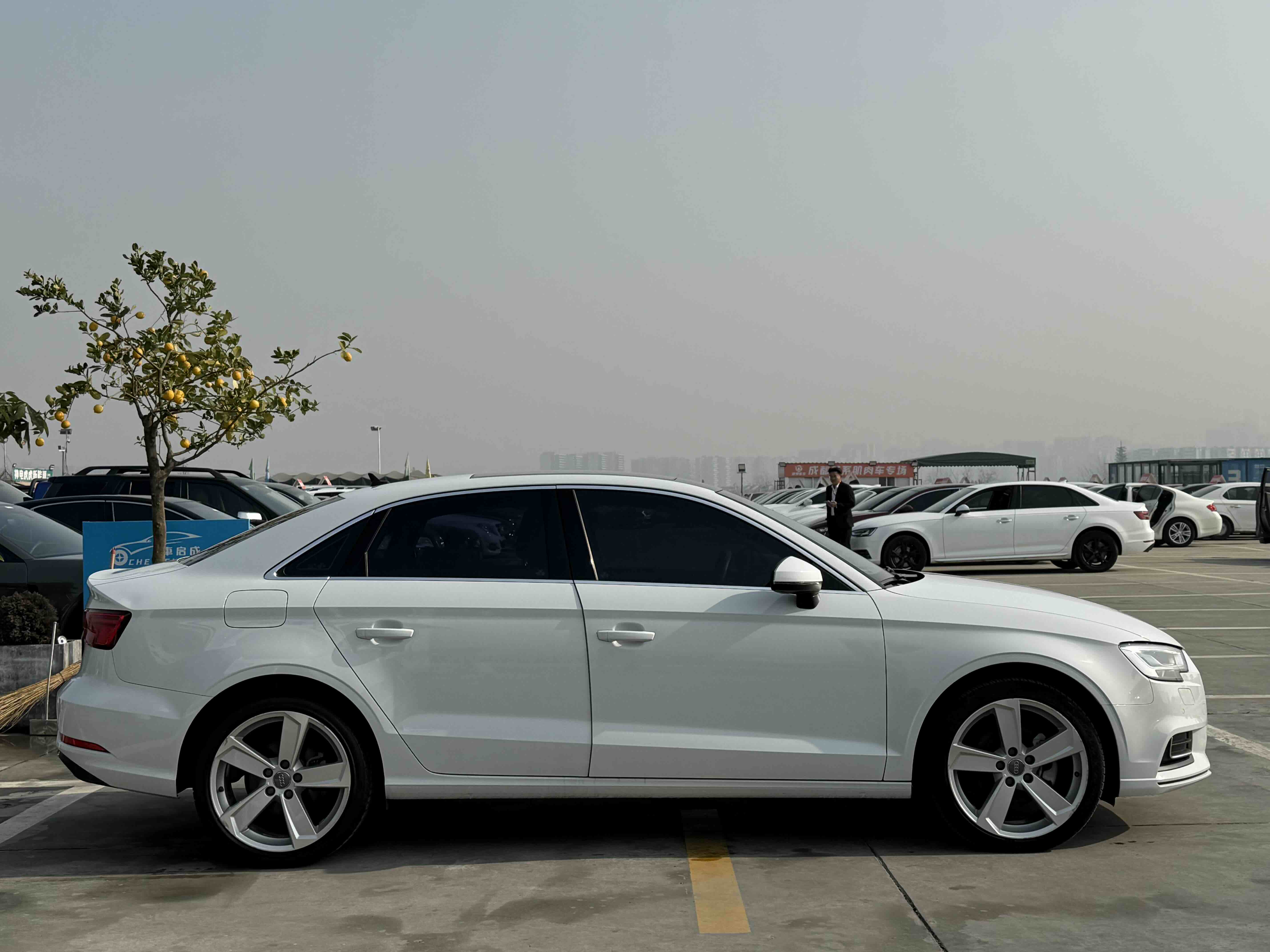 Audi A3 2020 #6 Audi A3 2020 car image #6