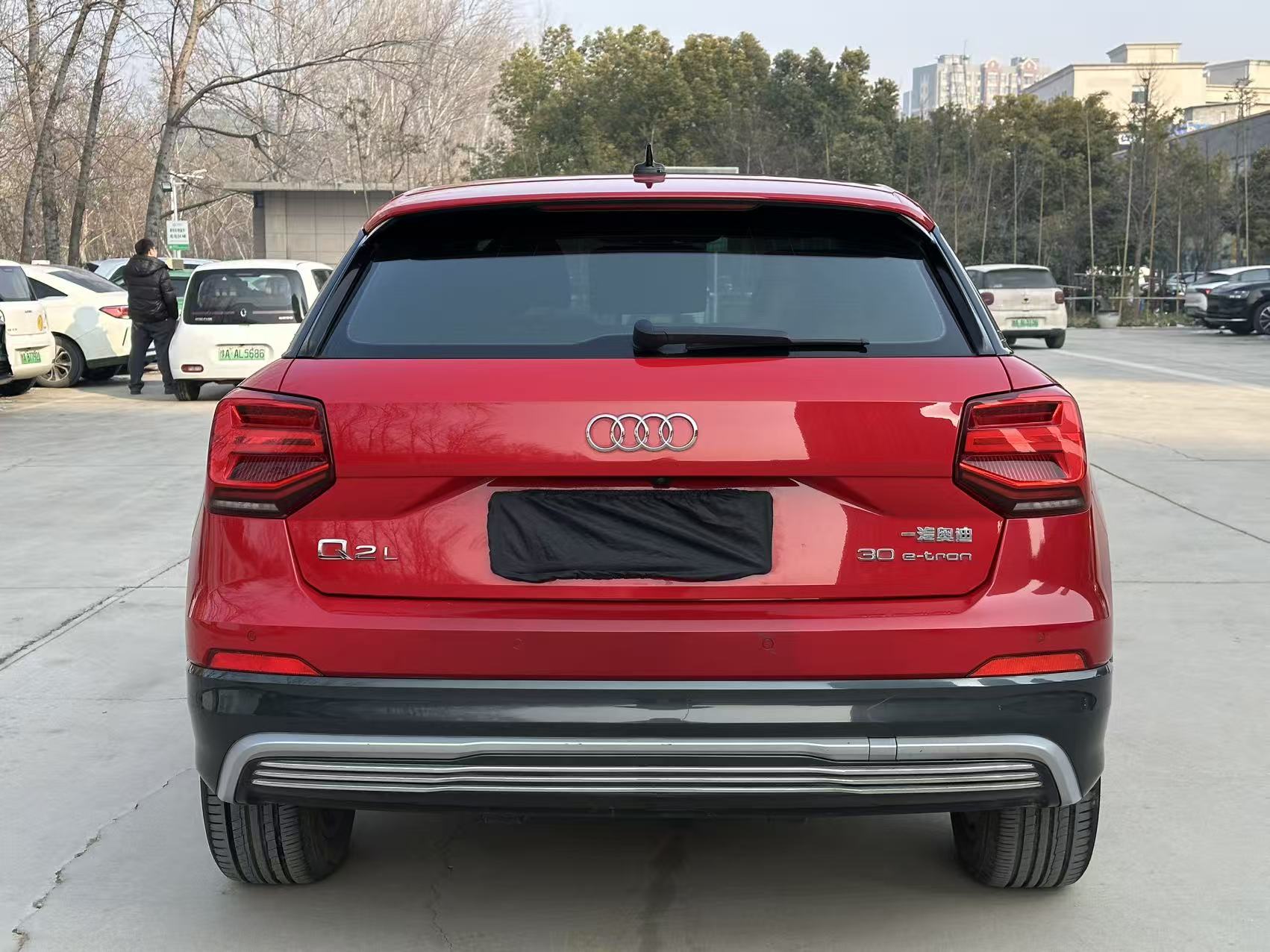 Audi Q2L e-tron 2020 imagen de coche #6