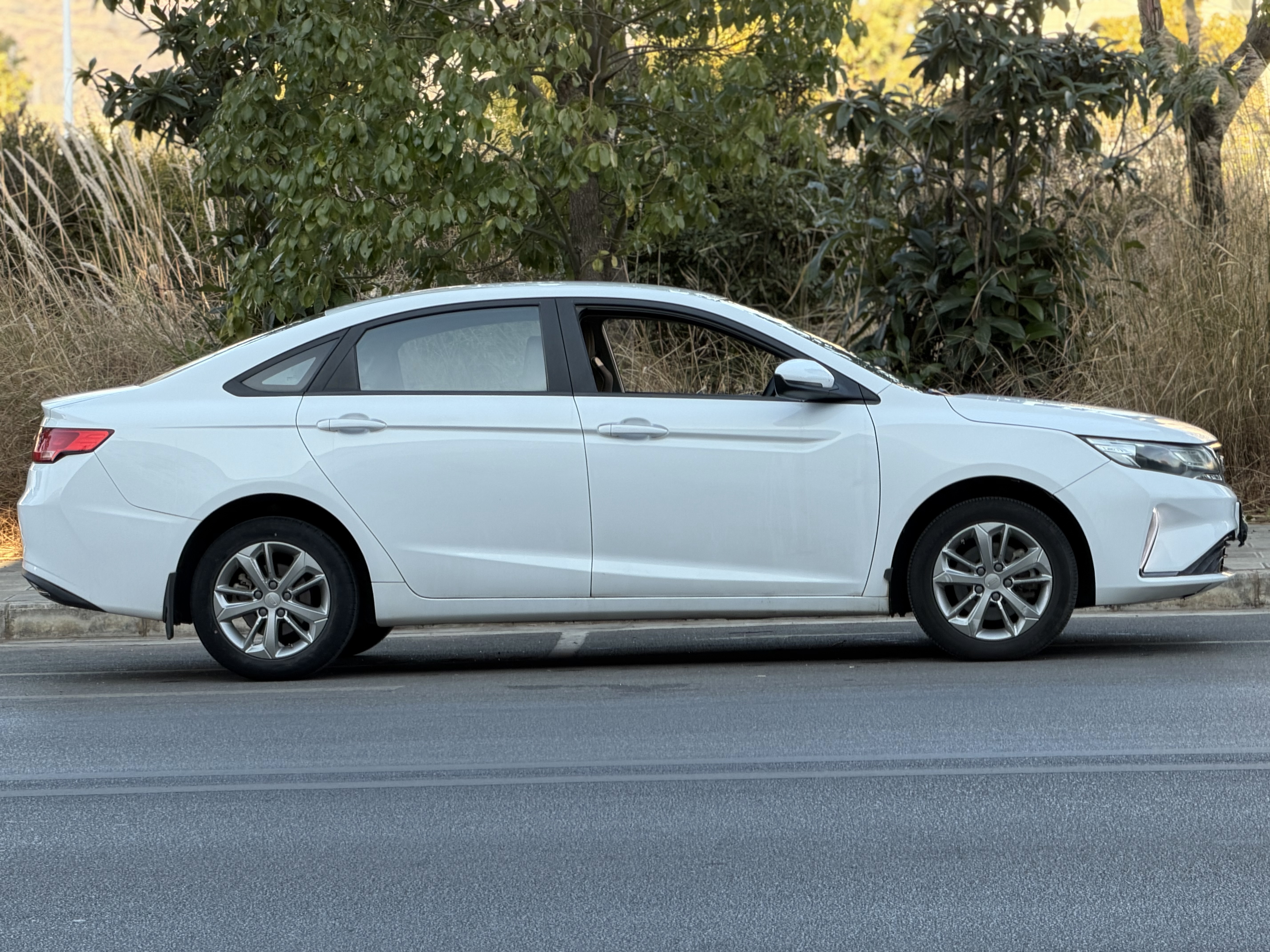 Emgrand GL 2020 #6 Emgrand GL 2020 car image #6
