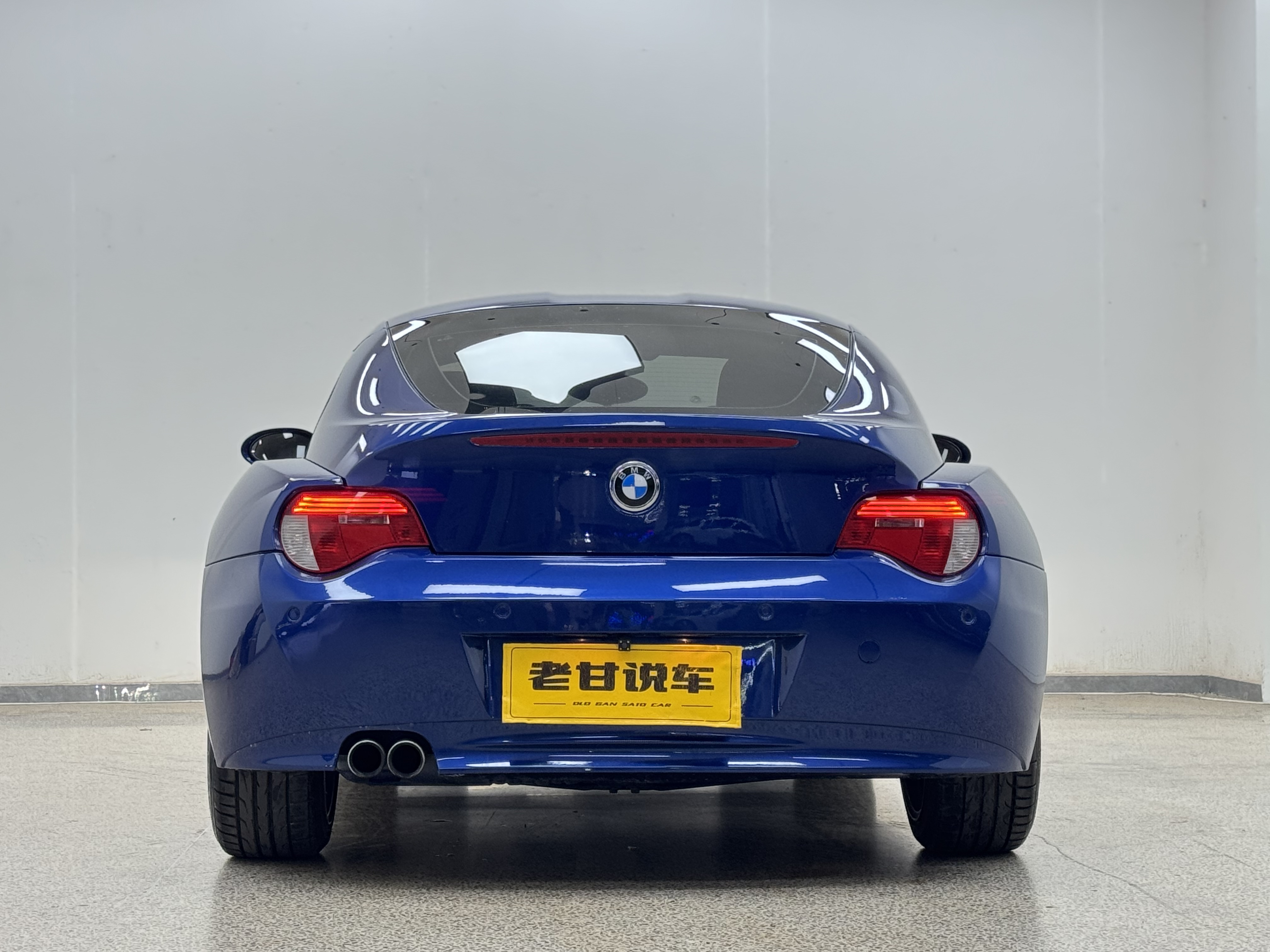 BMW Z4 2009 car image #6