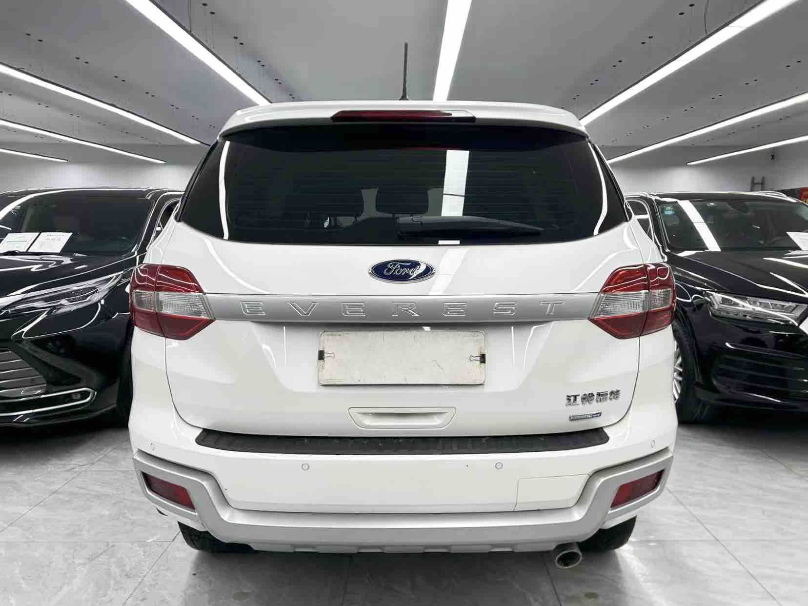 Ford Everest 2020 car image #6