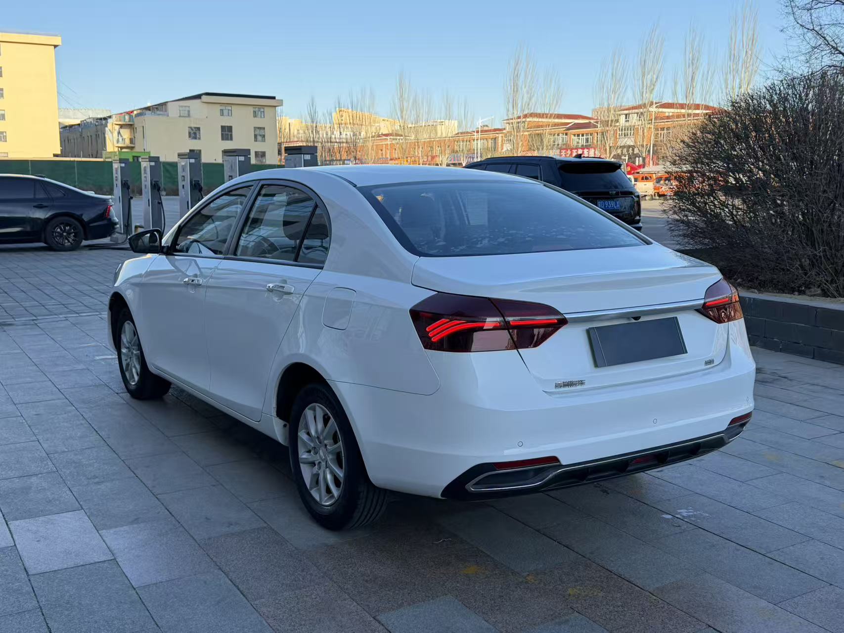 Emgrand 2020 #6 Emgrand 2020 car image #6