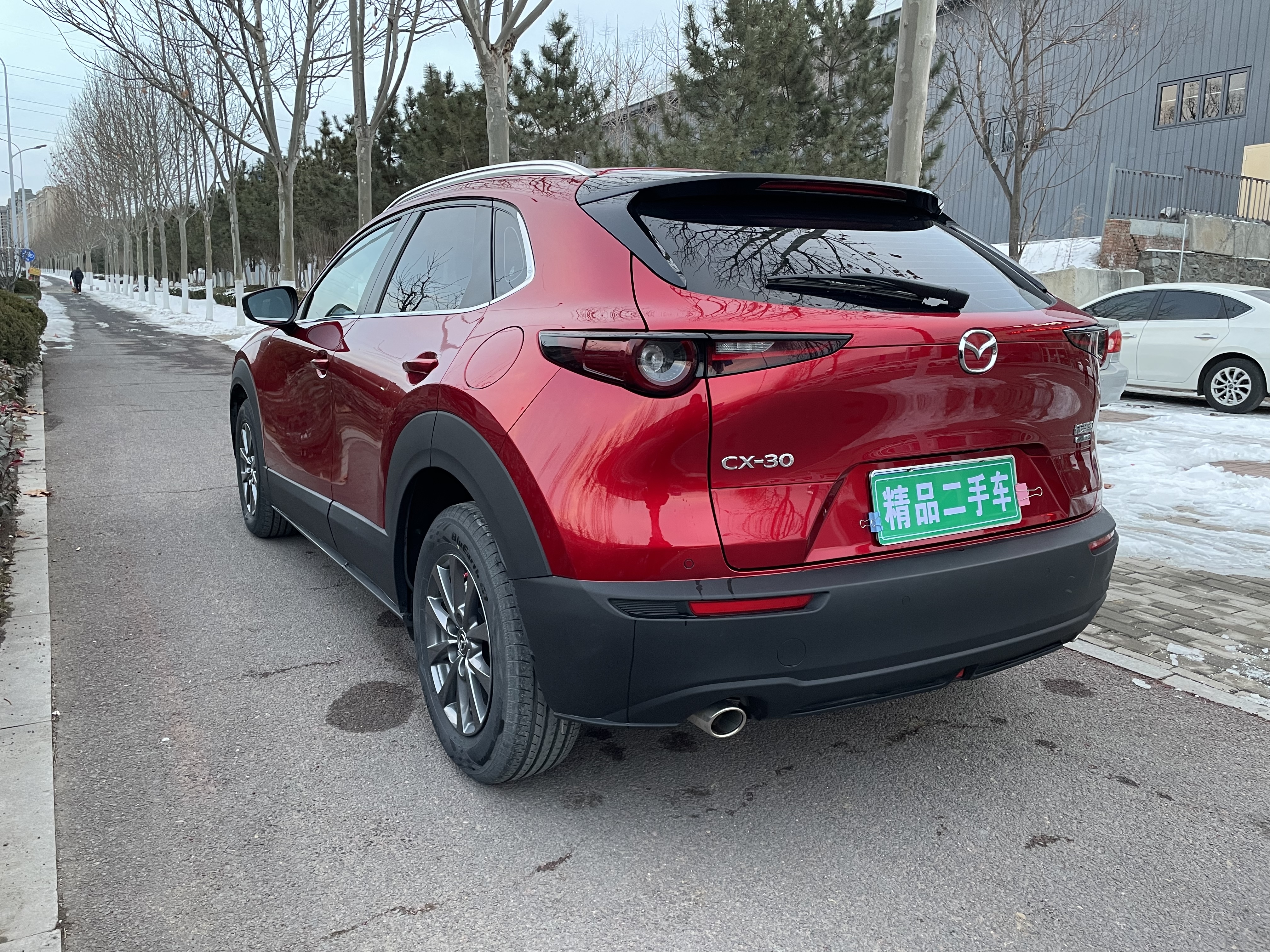 Mazda CX-30 2020 car image #6