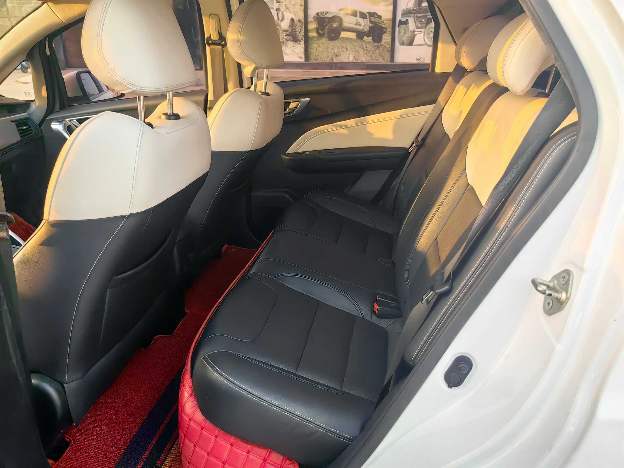 睿蓝汽车 枫叶30X 2020 汽车图片 #6