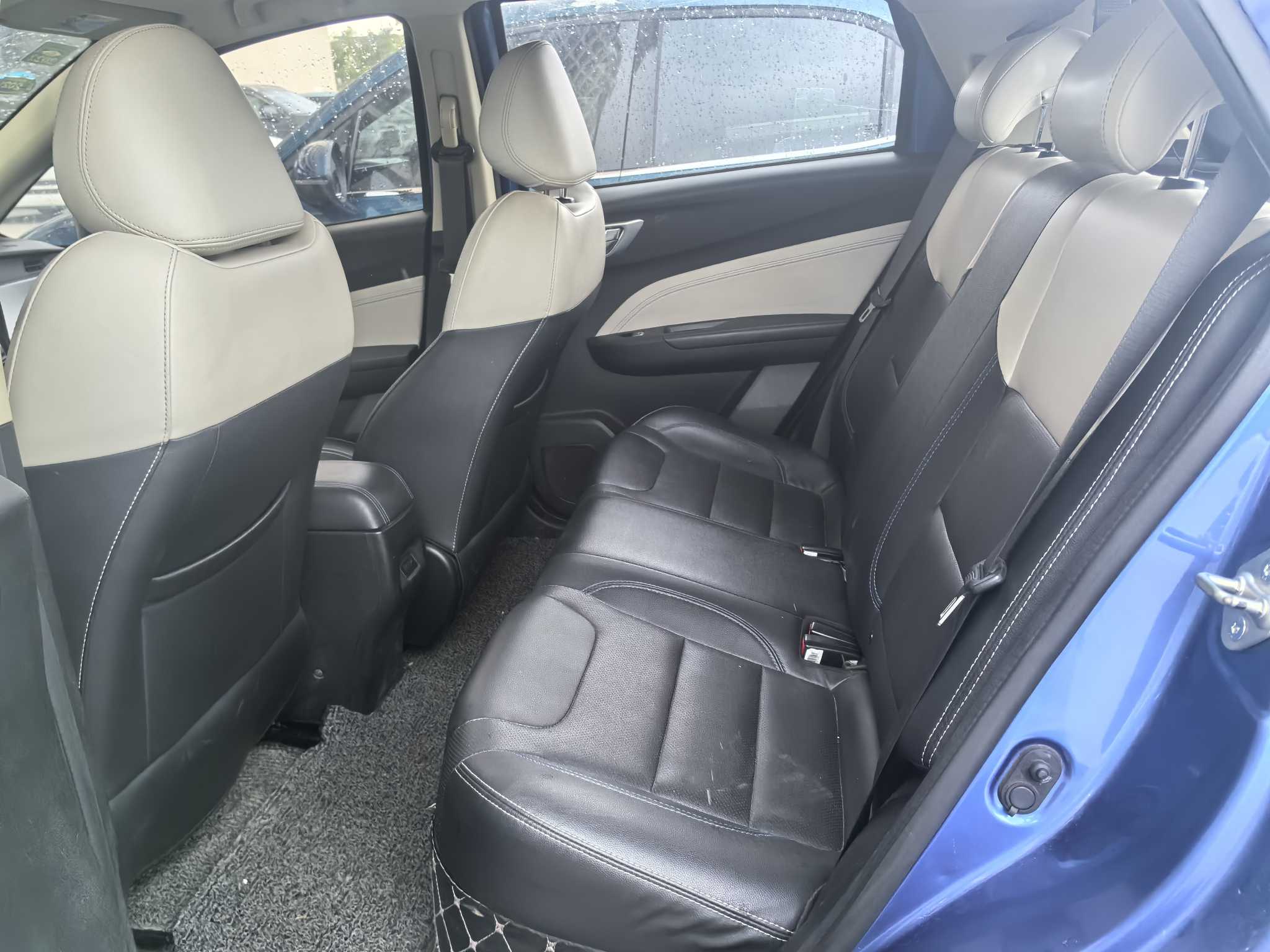 睿蓝汽车 枫叶30X 2020 汽车图片 #6