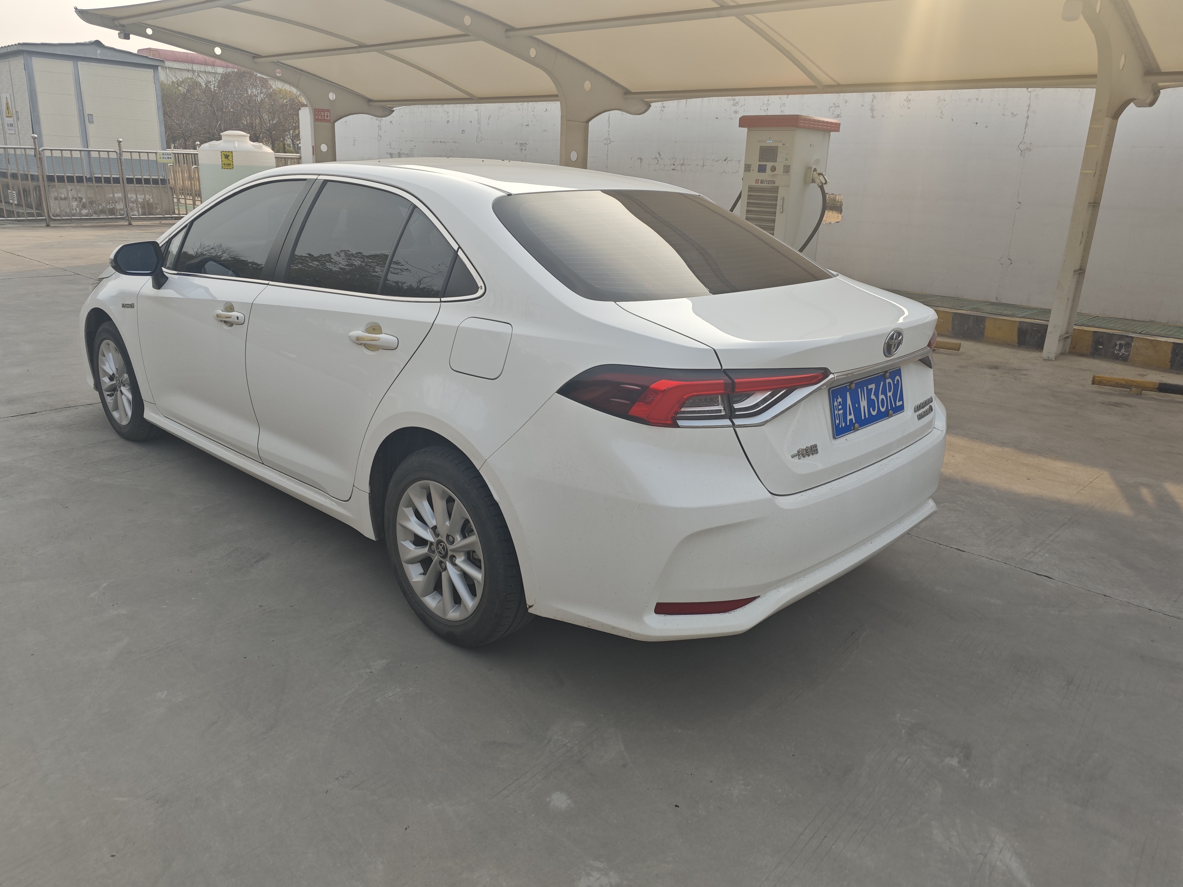 Corolla 2023 immagine di auto #6