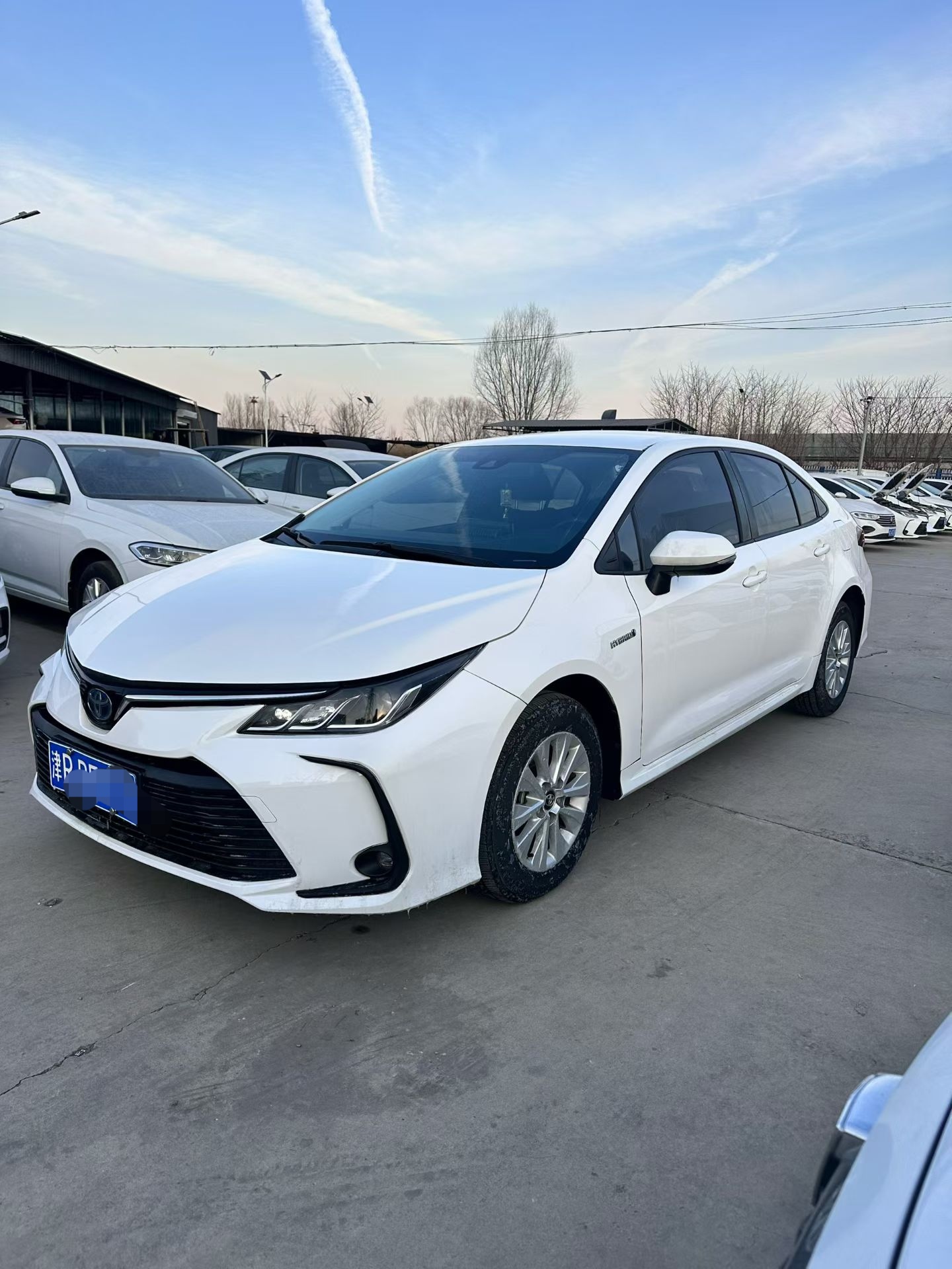Corolla 2021 #6 Corolla 2021 car image #6