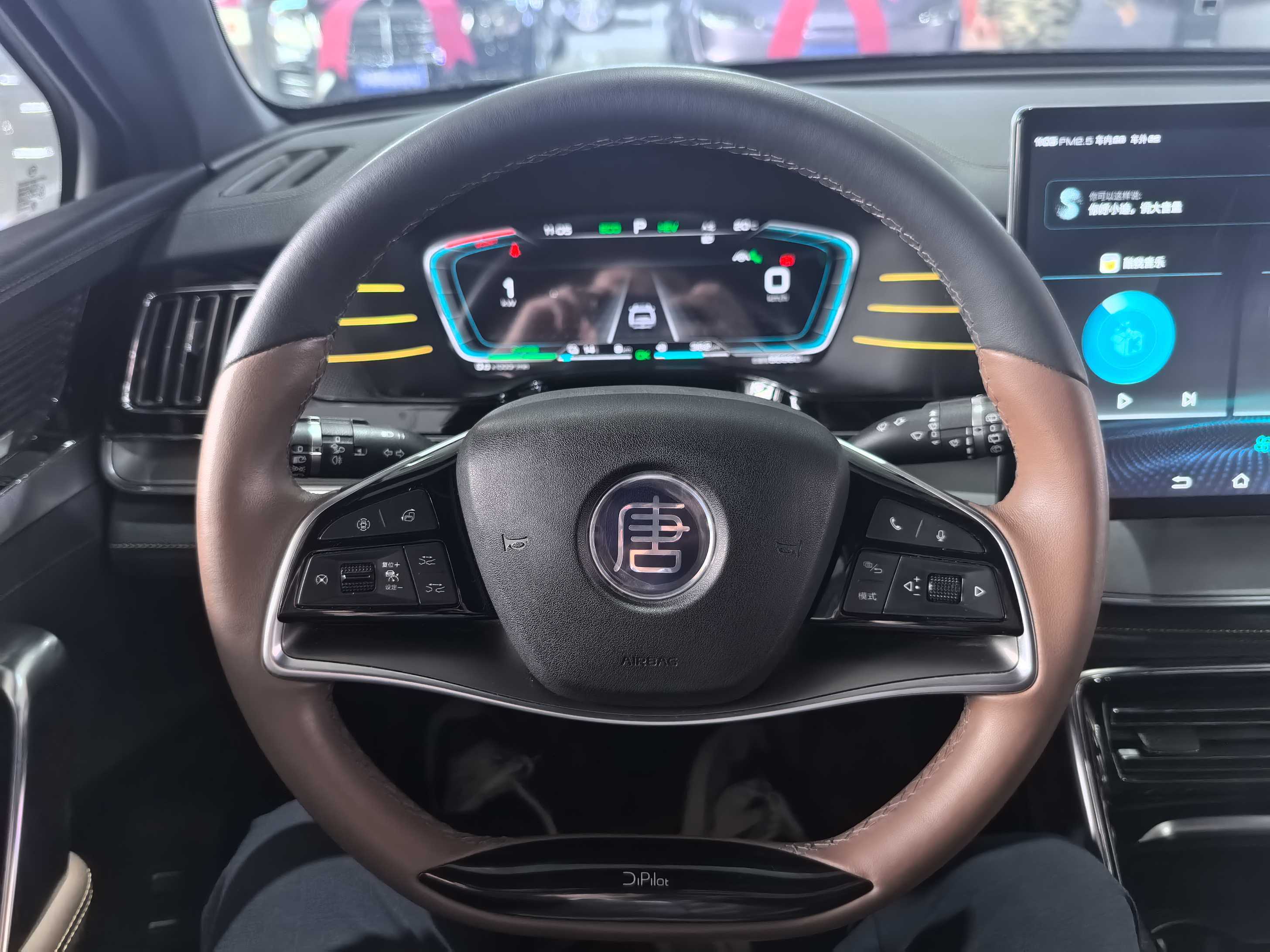 BYD Tang New Energy 2021 car image #6