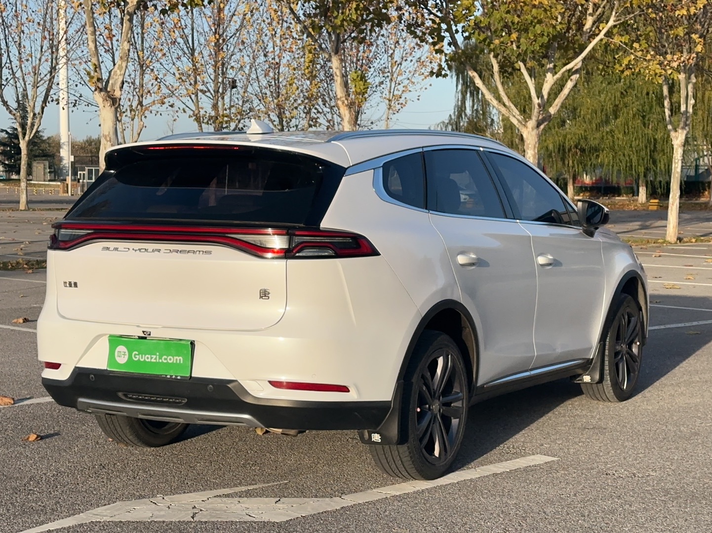 BYD Tang 2021 car image #6
