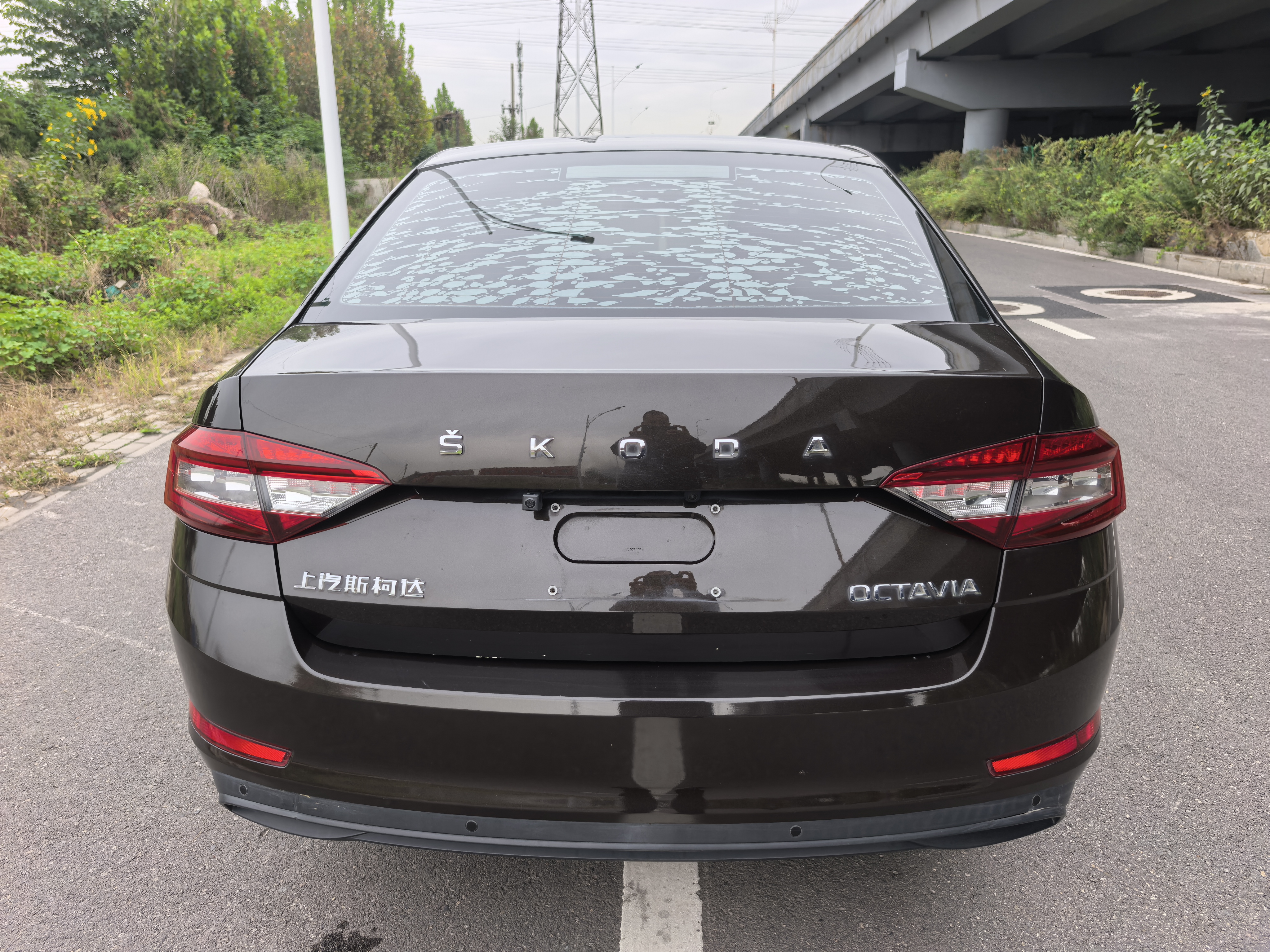 Skoda Octavia 2020 car image #6