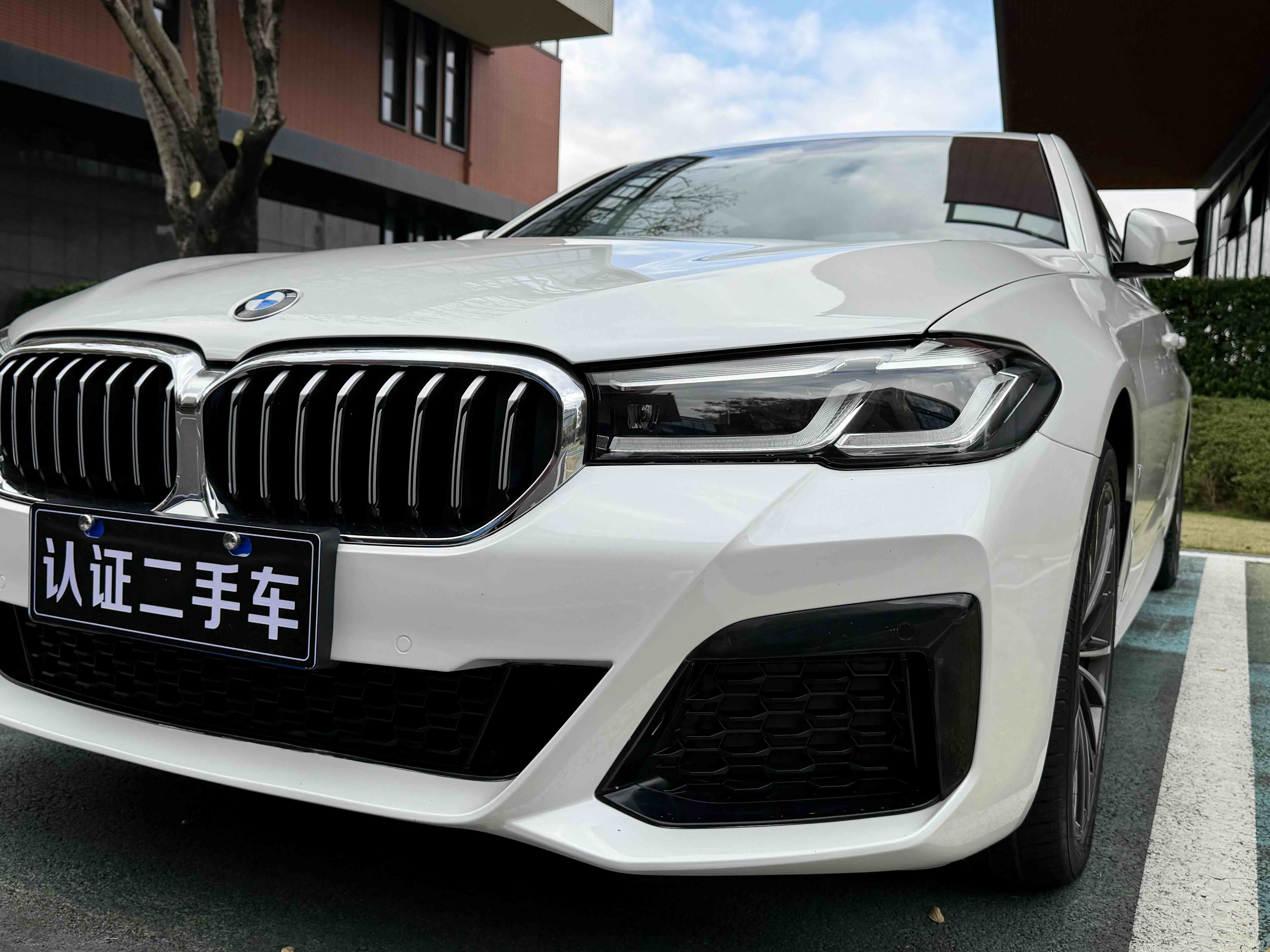 BMW 5 Series 2021 car image #6