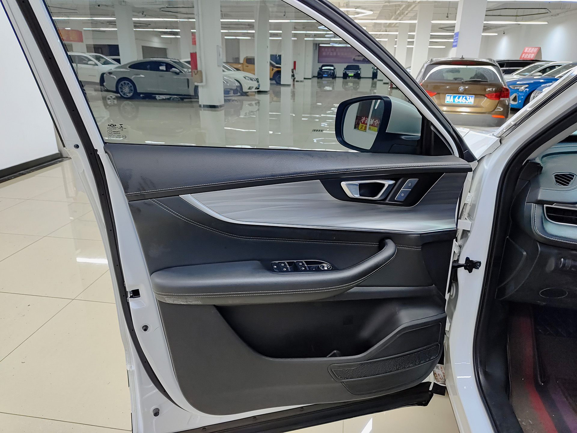 Tiggo 8 Plus 2021 car image #6