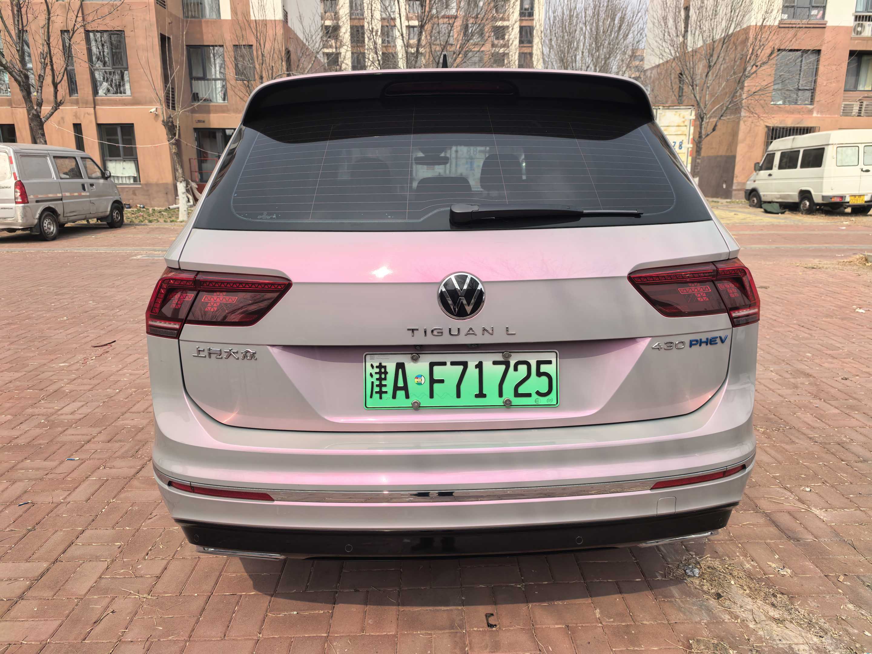 Volkswagen Tiguan L New Energy 2021 imagen de coche #6