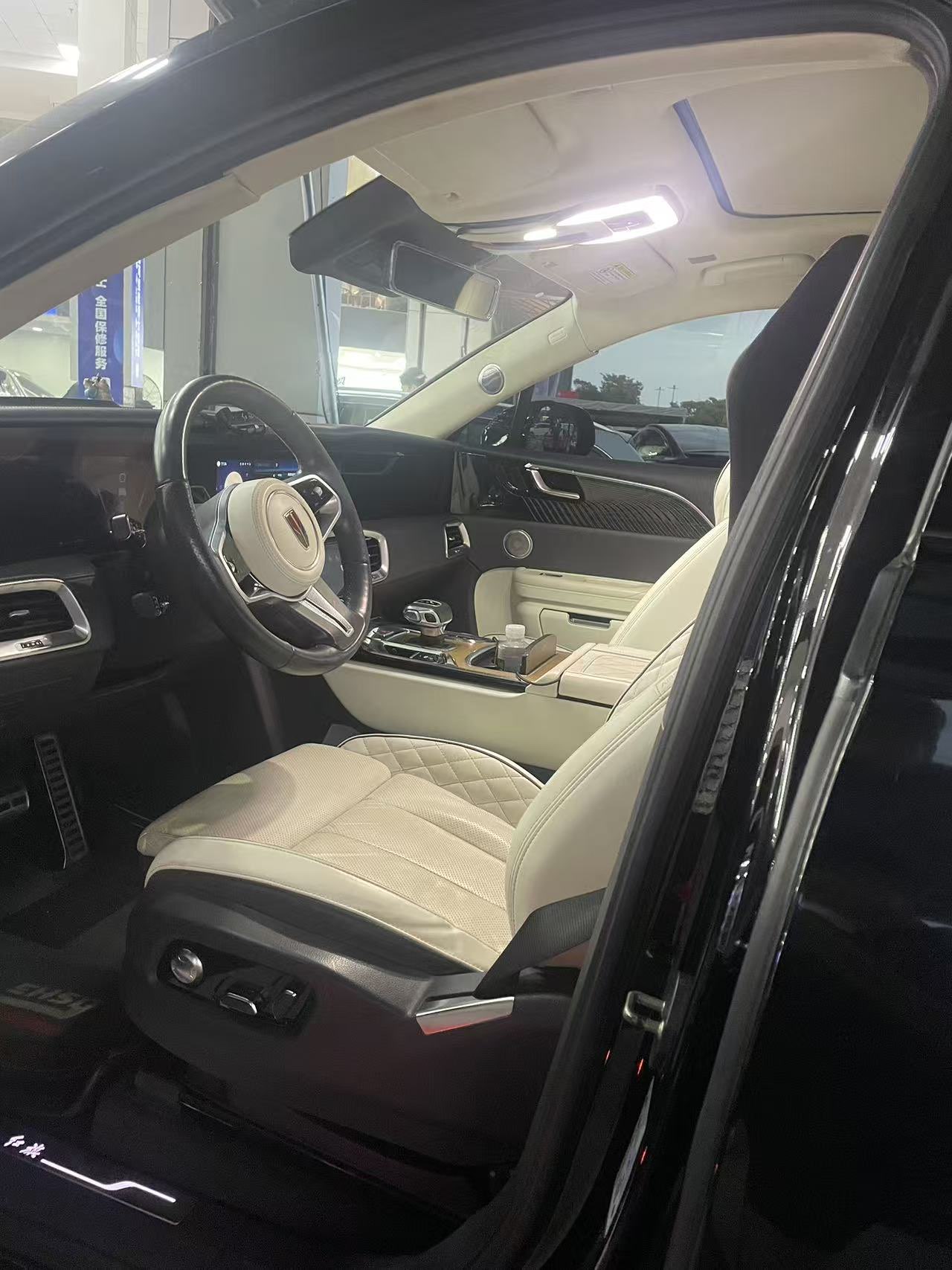 HongQi E-HS9 2021 immagine di auto #6