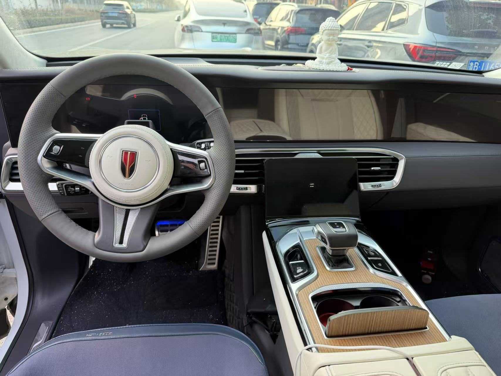 HongQi E-HS9 2021 car image #6