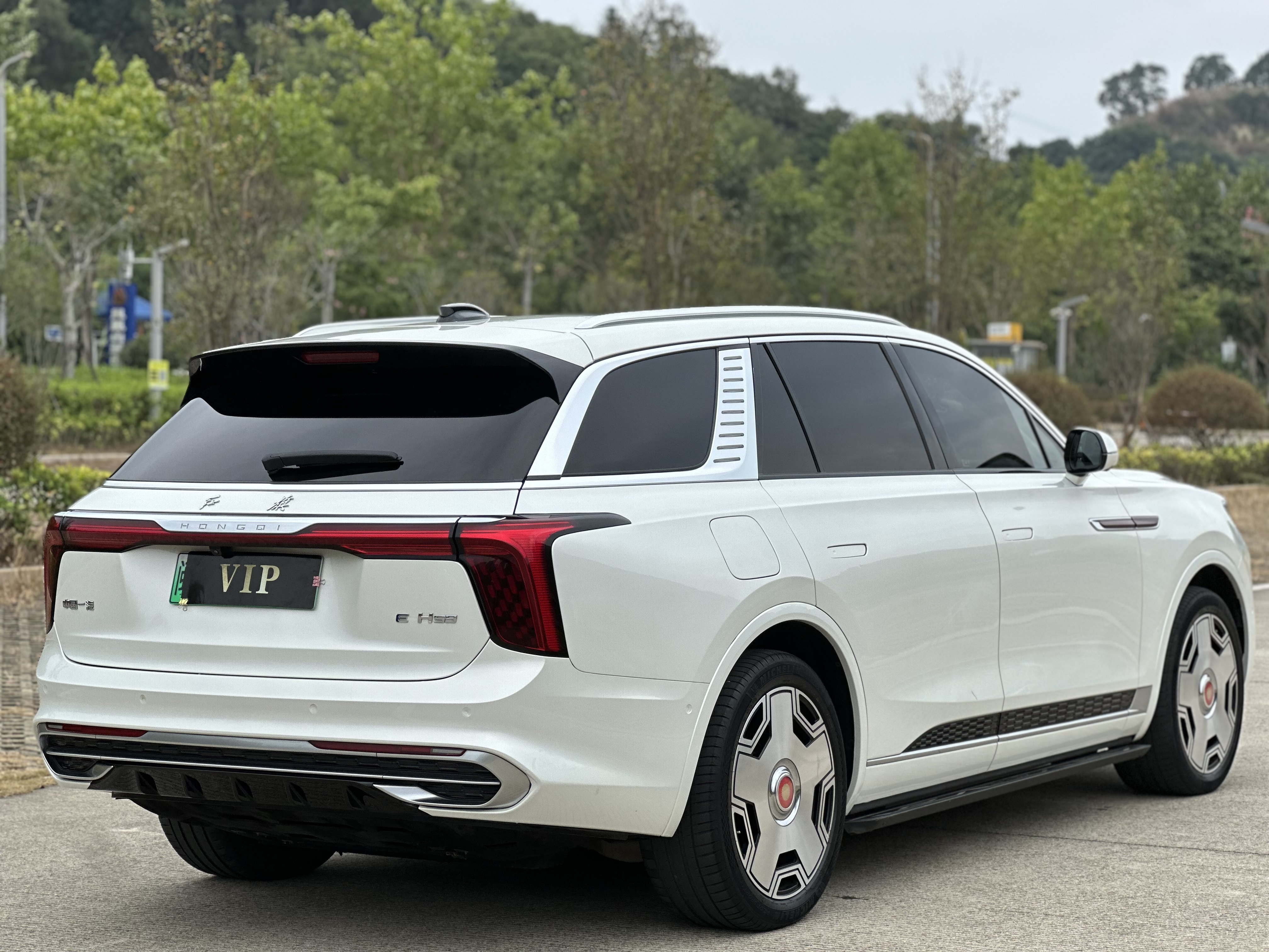 HongQi E-HS9 2021 #6 HongQi E-HS9 2021 immagine di auto #6