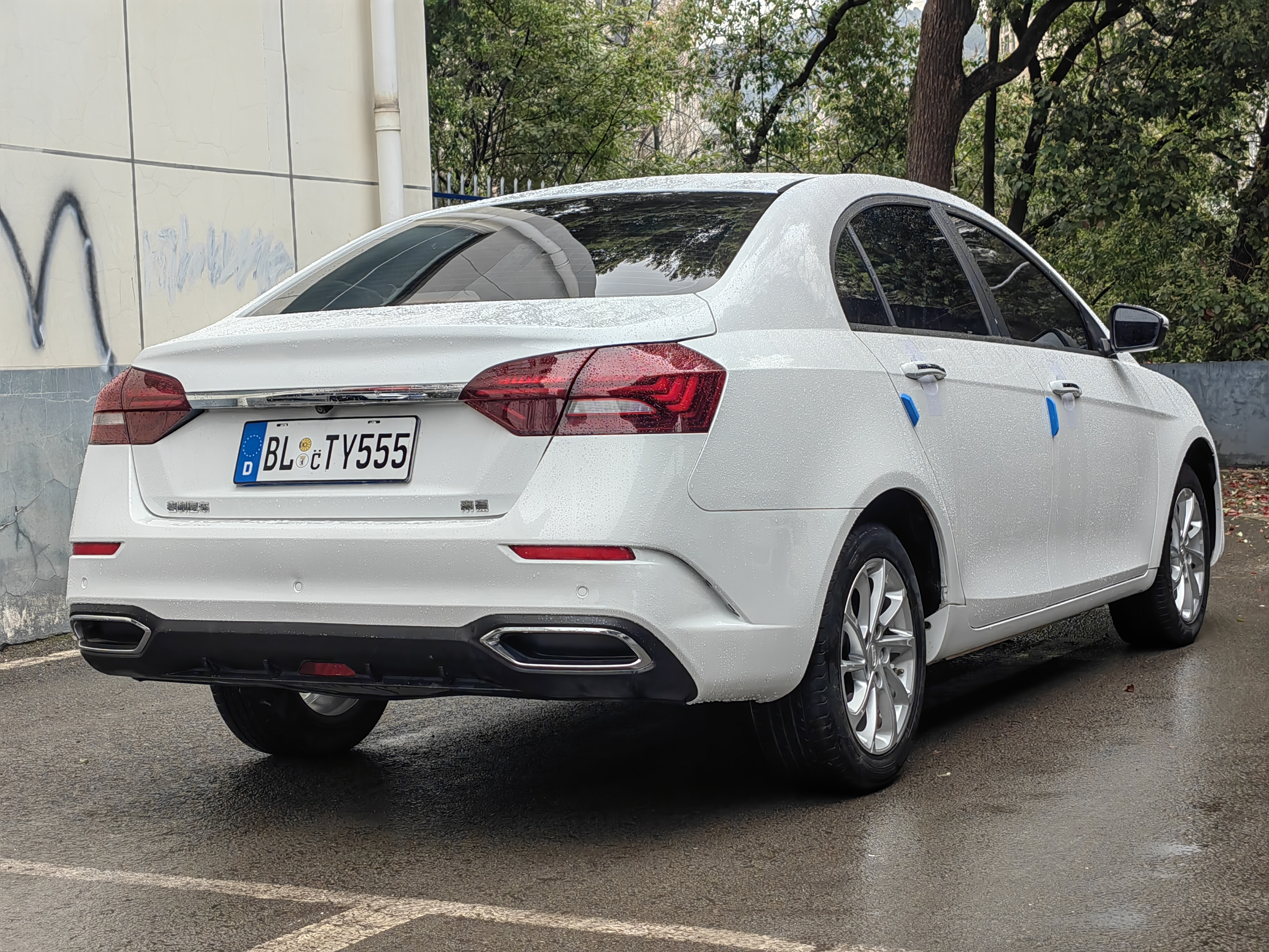 Emgrand 2021 car image #6