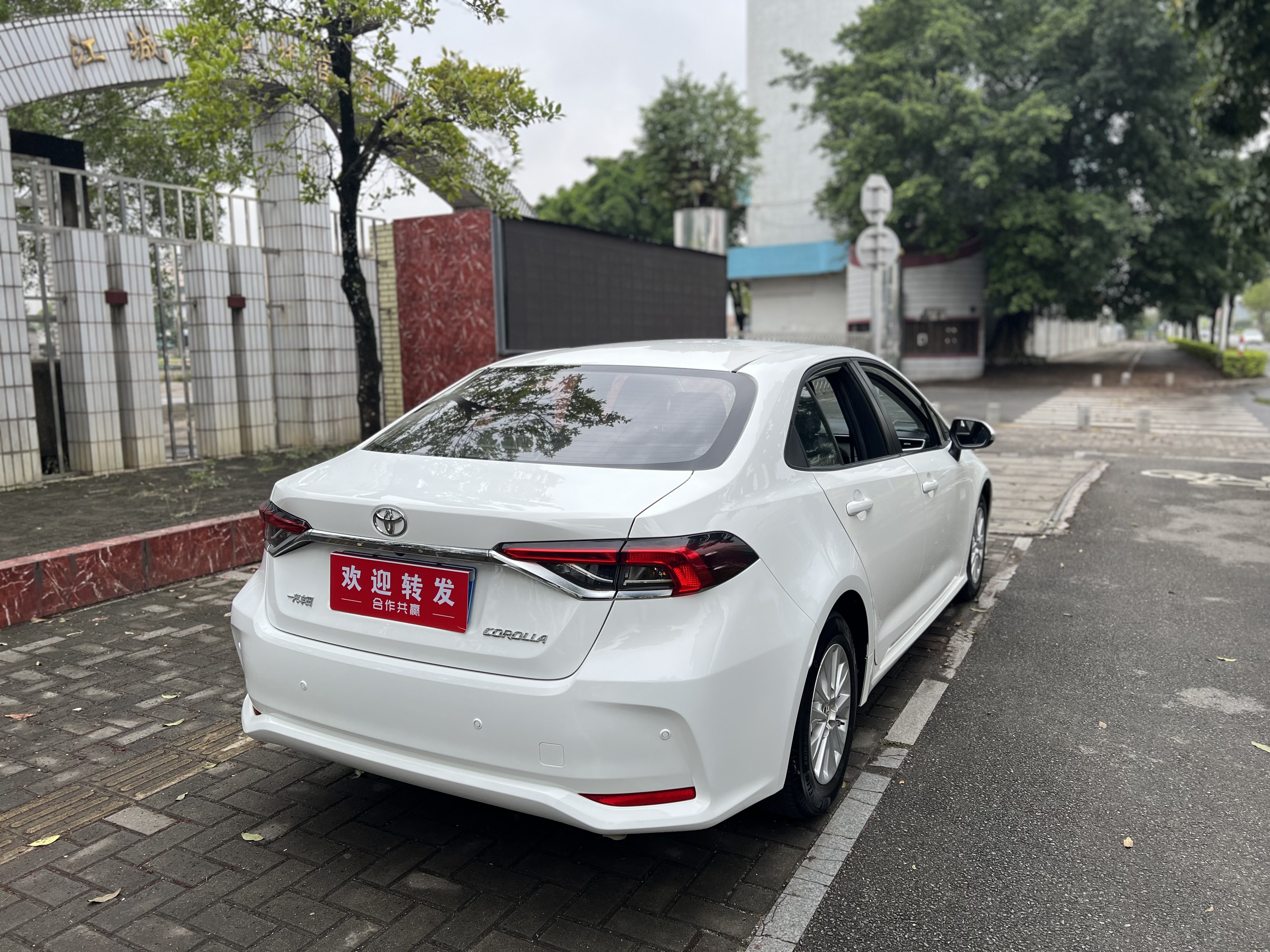 Corolla 2021 car image #6