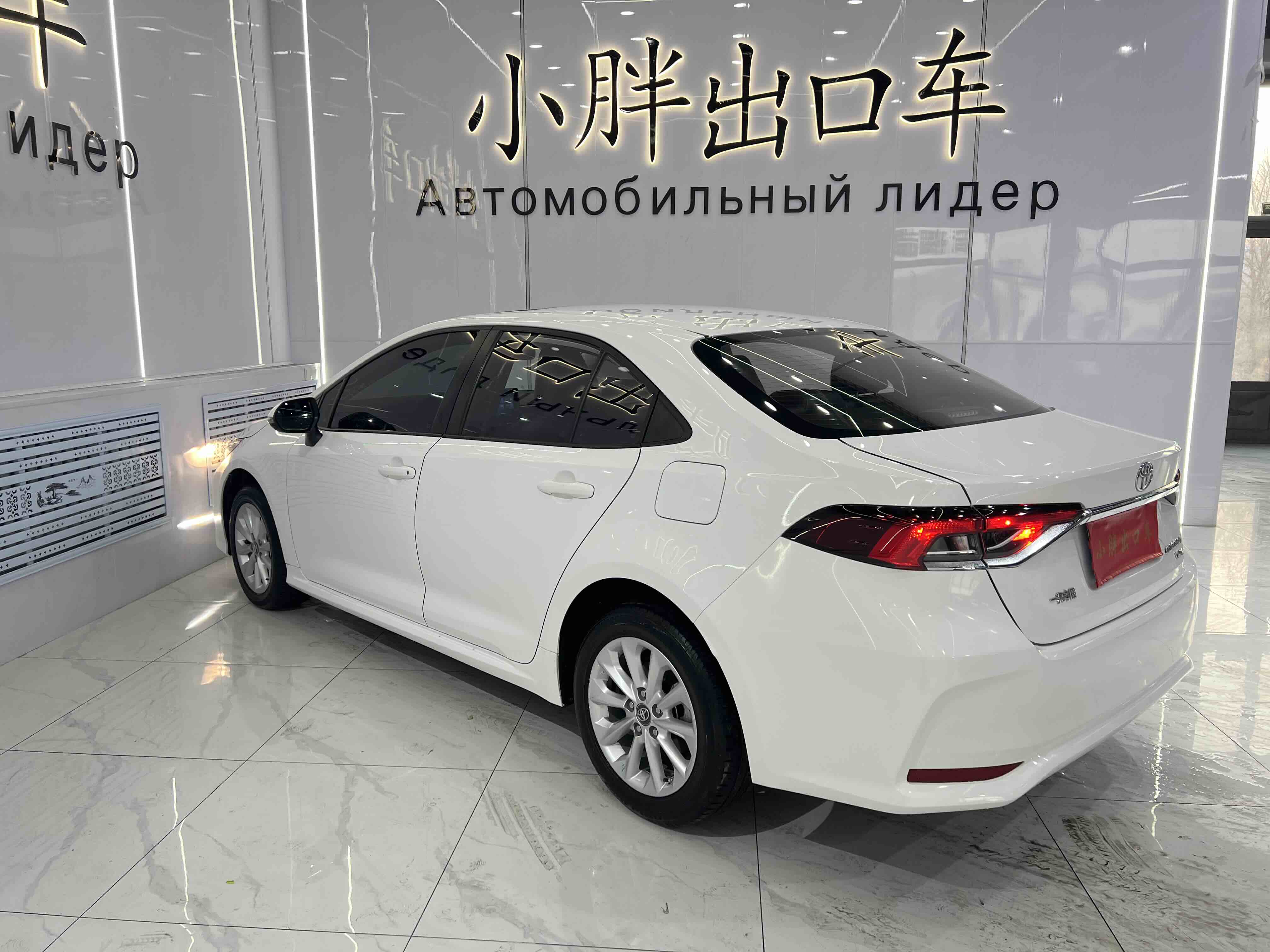Toyota Corolla 2021 car image #6