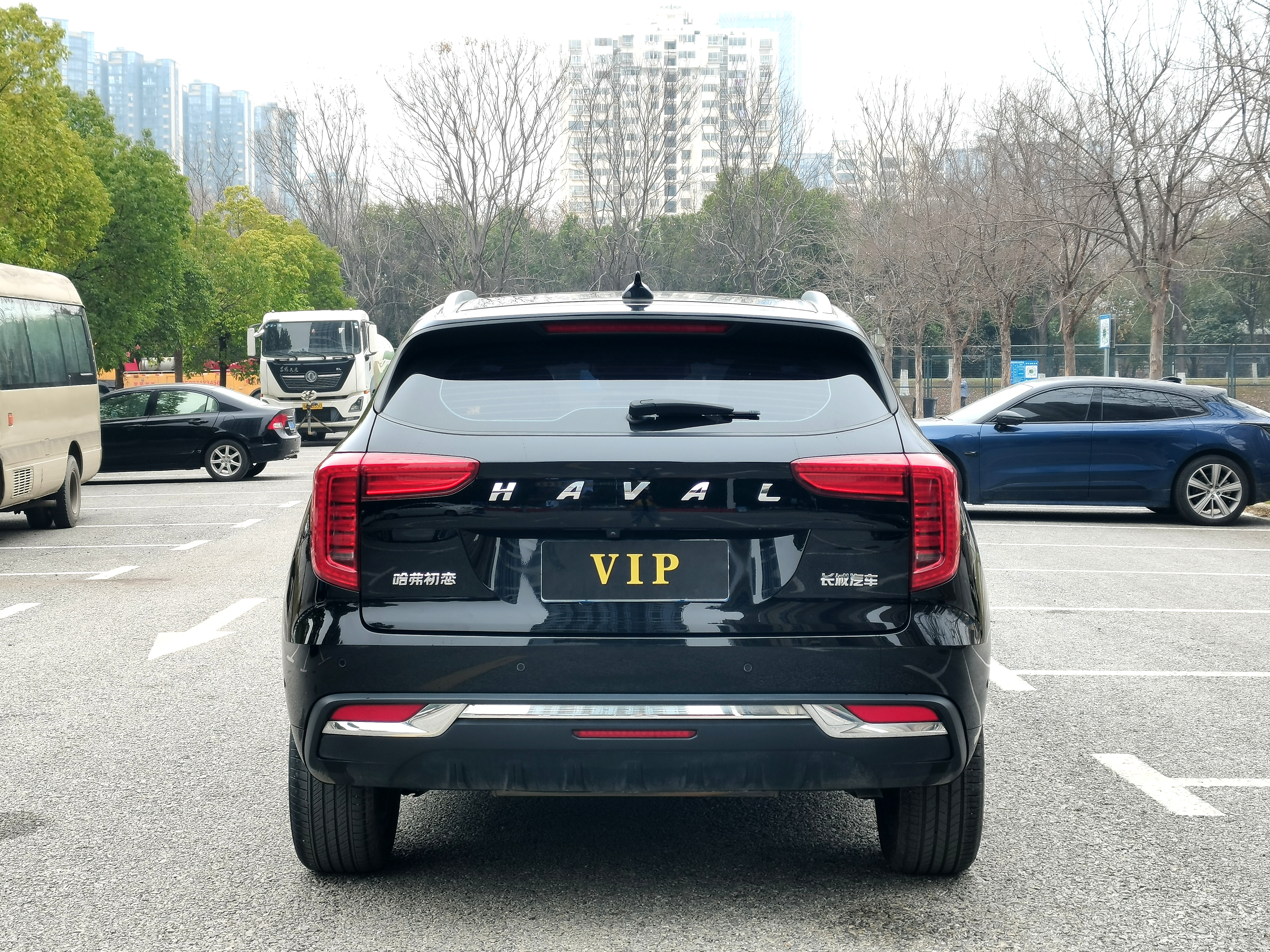 Haval Jolion 2021 car image #6