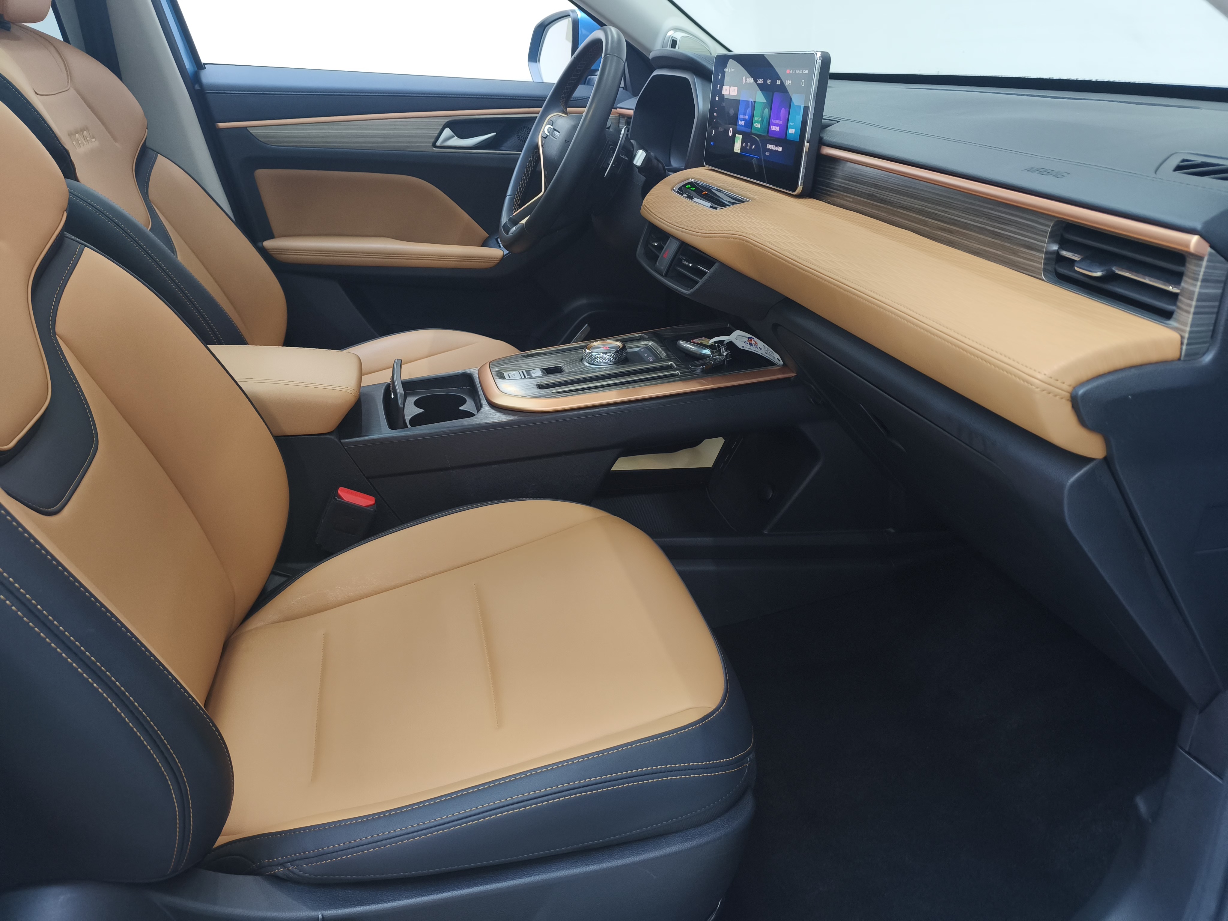 Haval Jolion 2021 imagem de carro #6