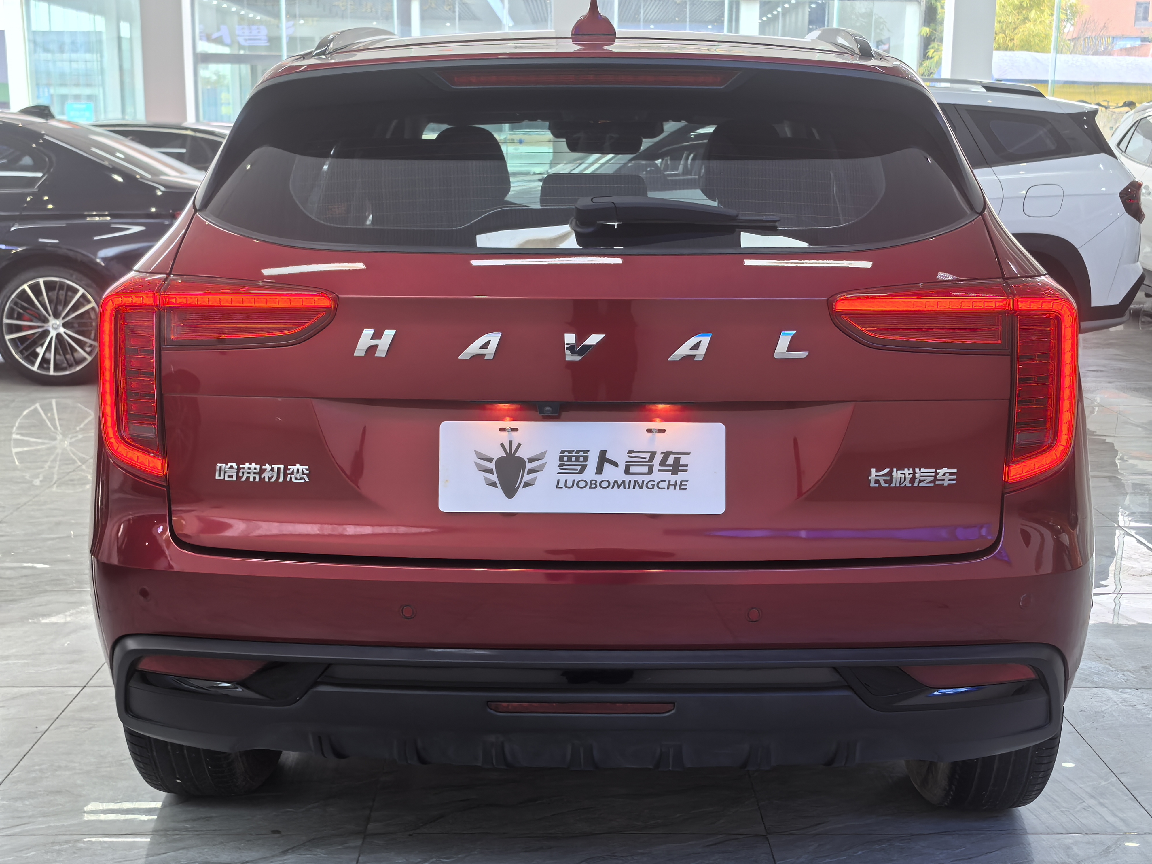 Haval Jolion 2021 #6 Haval Jolion 2021 car image #6